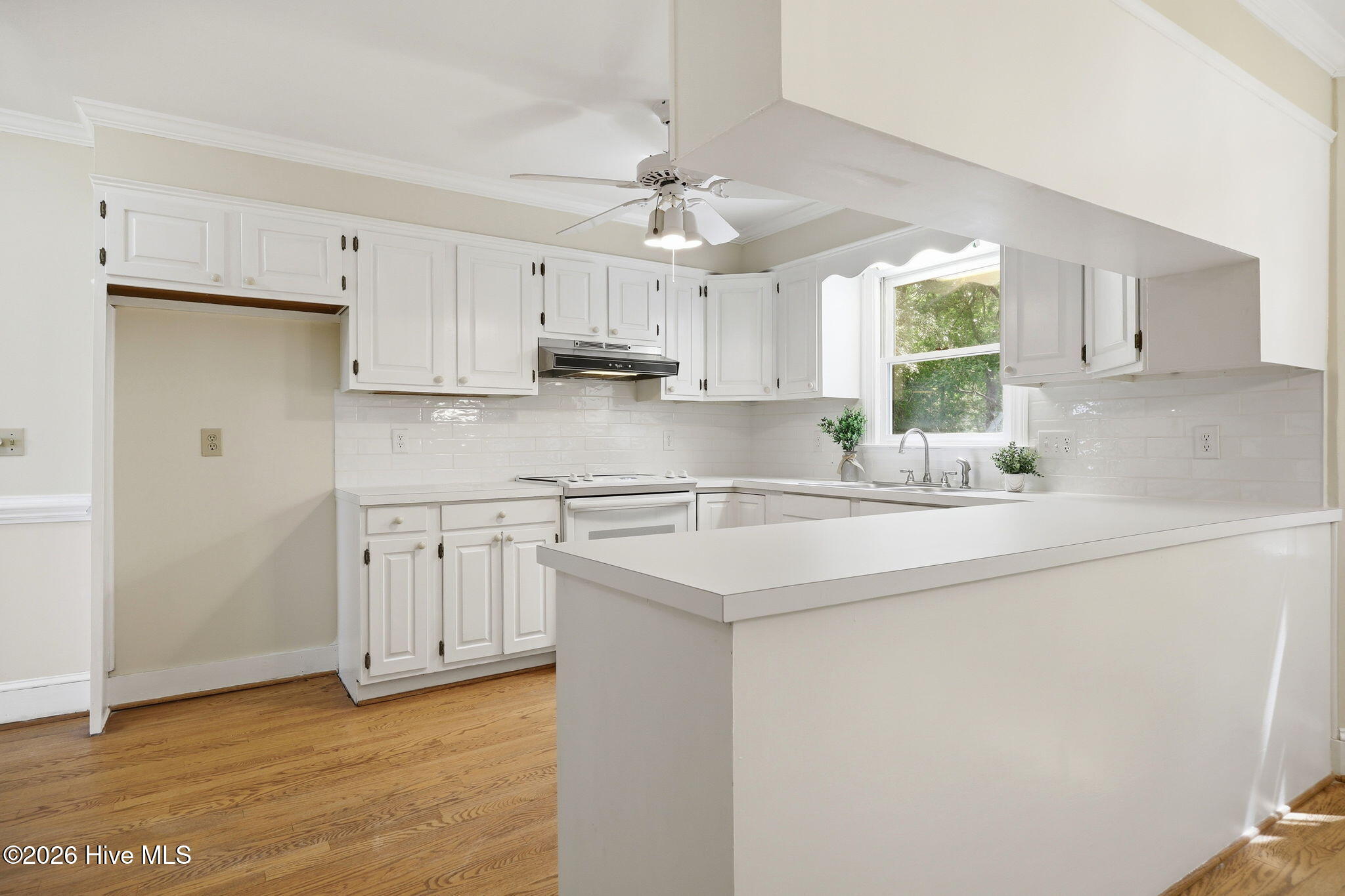 311 Joseph Street Property Photo 29