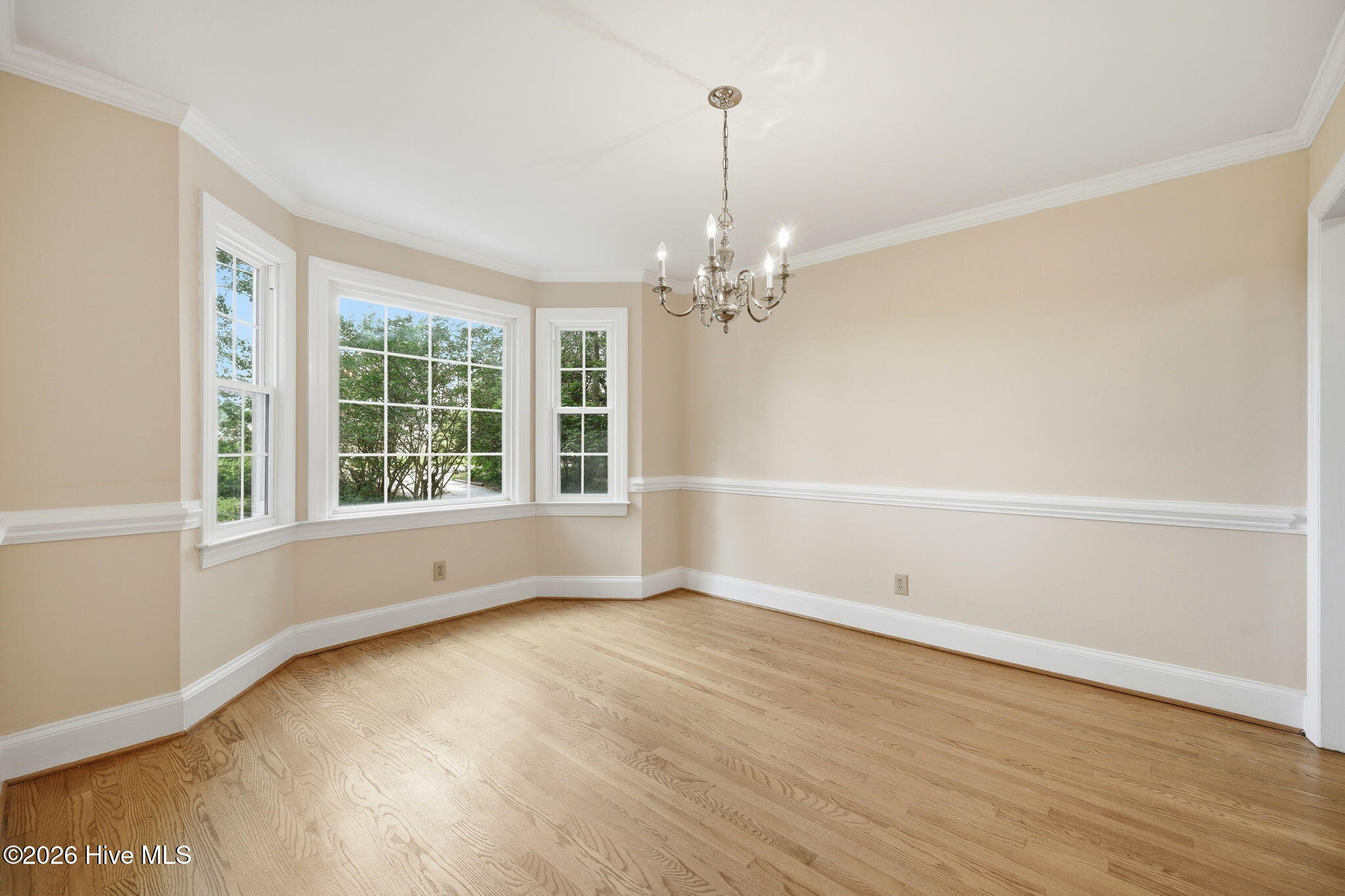 311 Joseph Street Property Photo 34