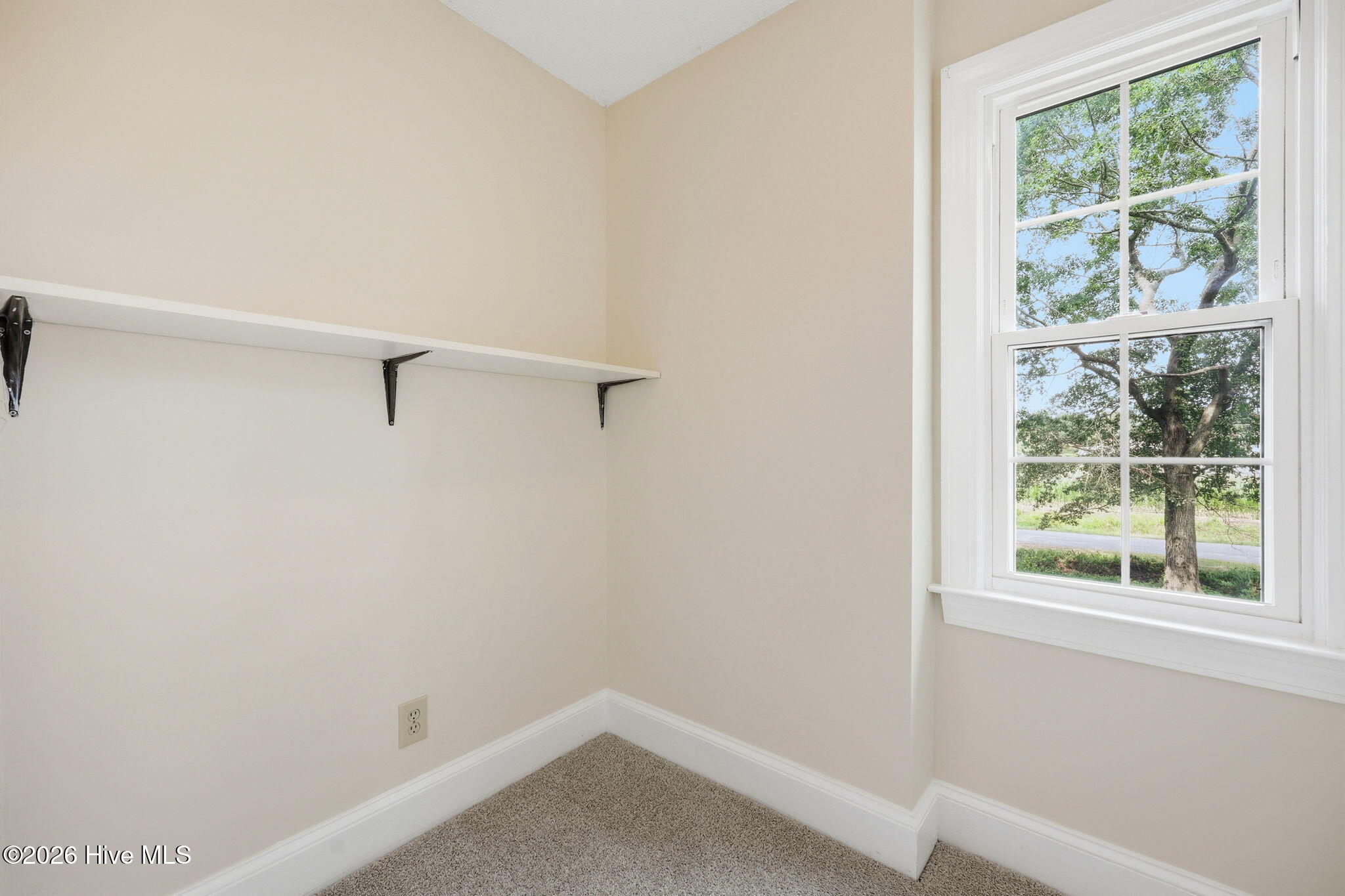 311 Joseph Street Property Photo 46