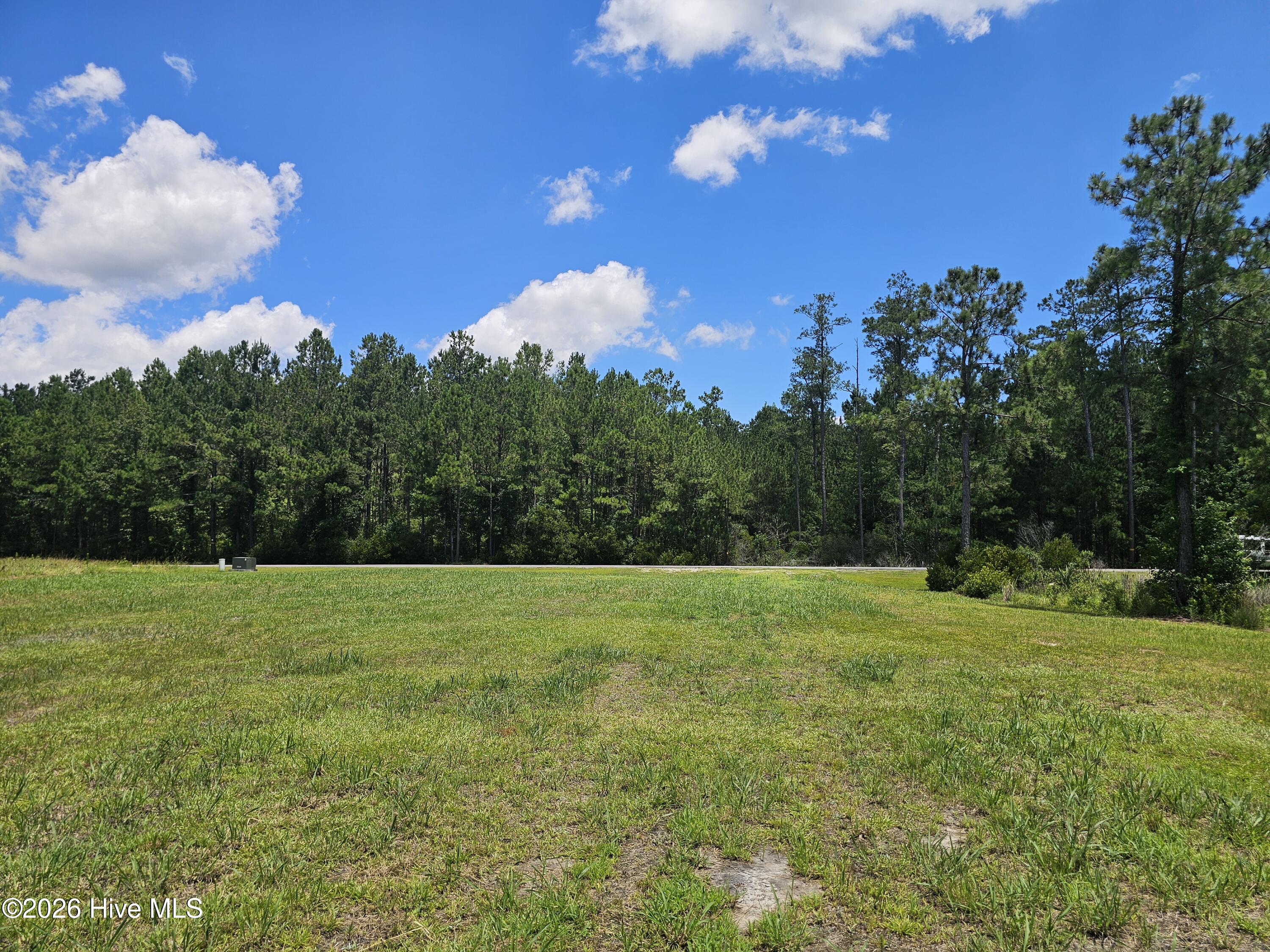 Lot 20 20 Bailey Pointe Drive Property Photo 19