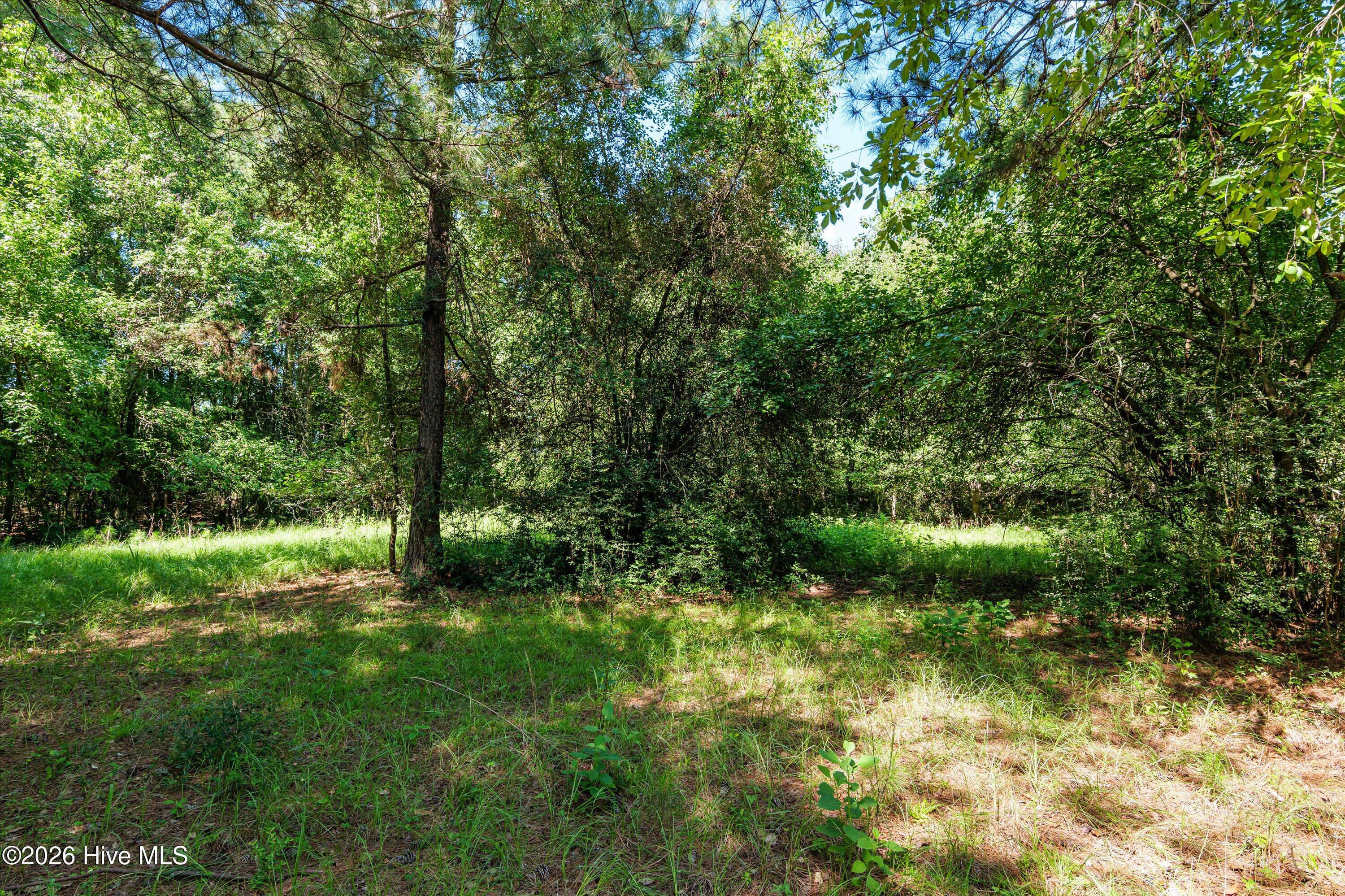 1-b River Oak Drive Property Photo 31