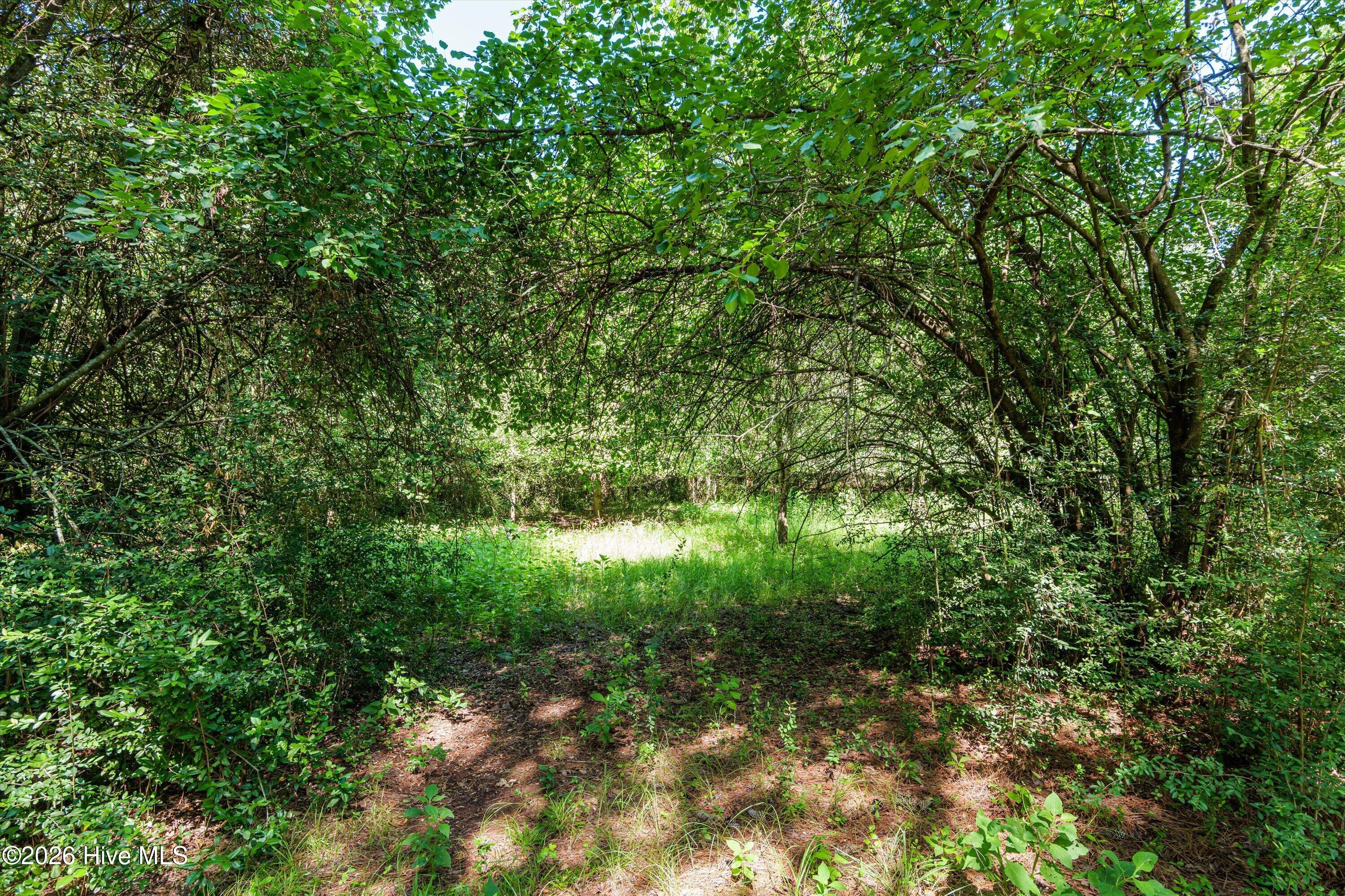 1-b River Oak Drive Property Photo 32