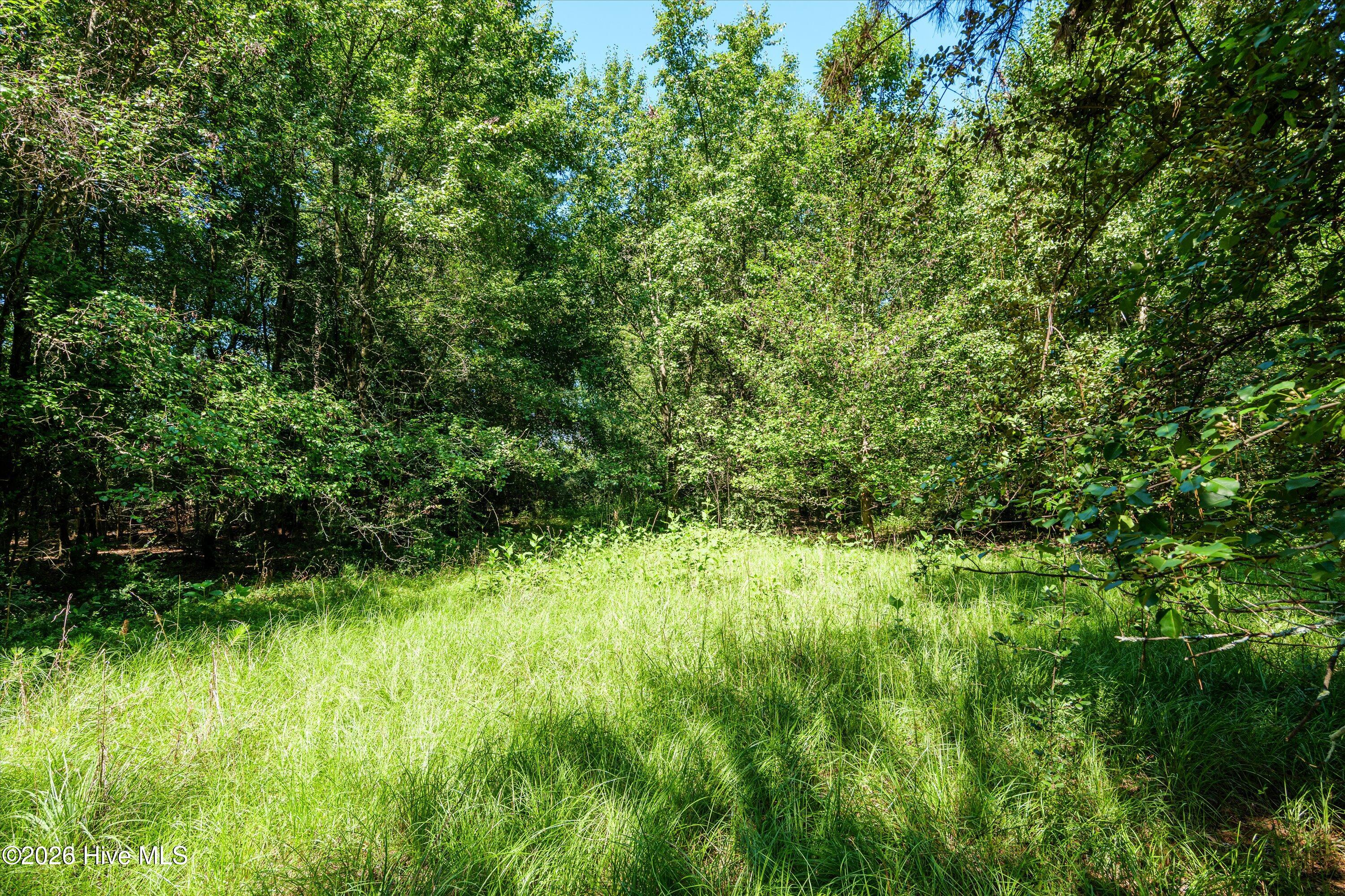 1-b River Oak Drive Property Photo 33