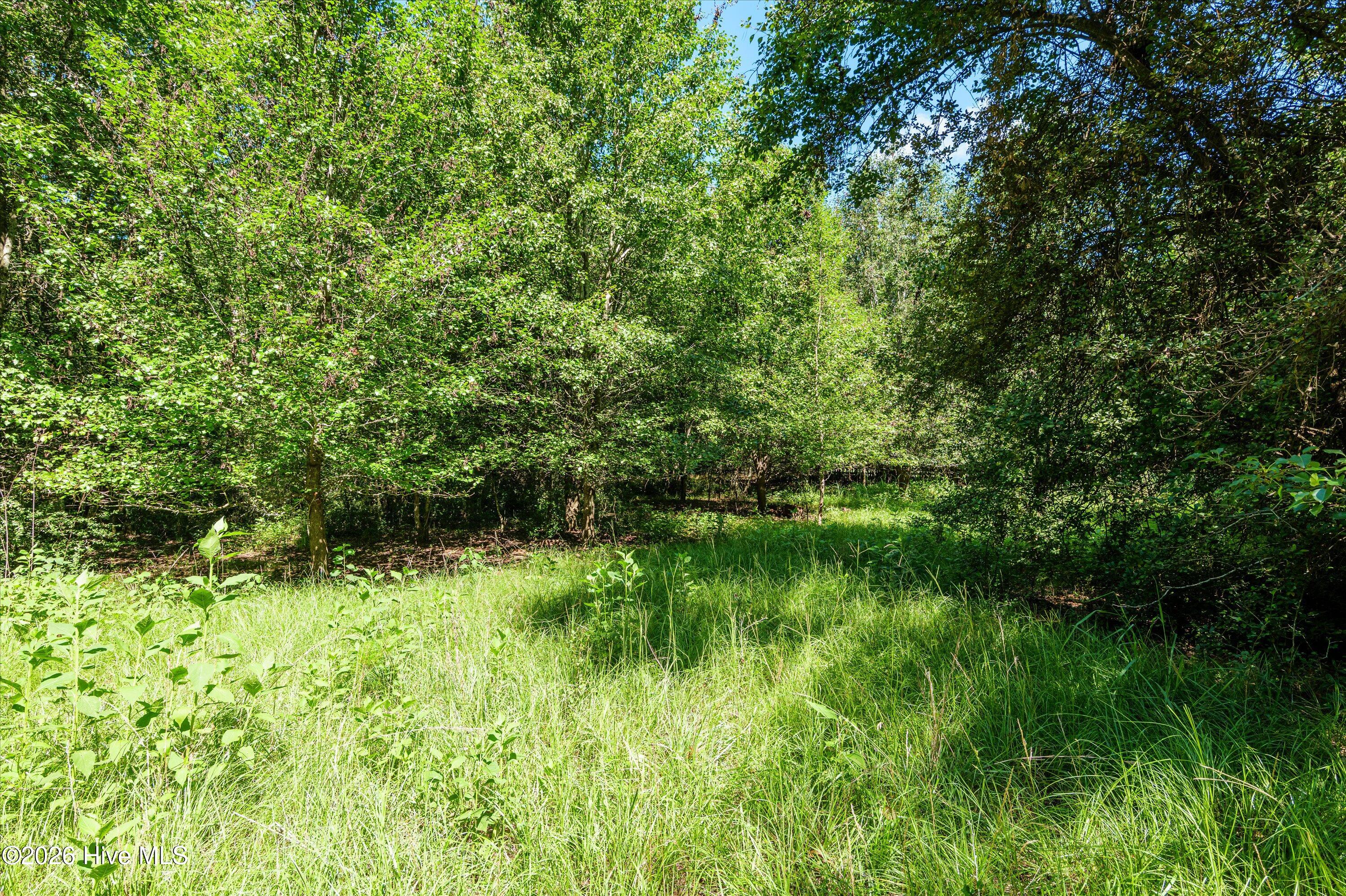 1-b River Oak Drive Property Photo 34