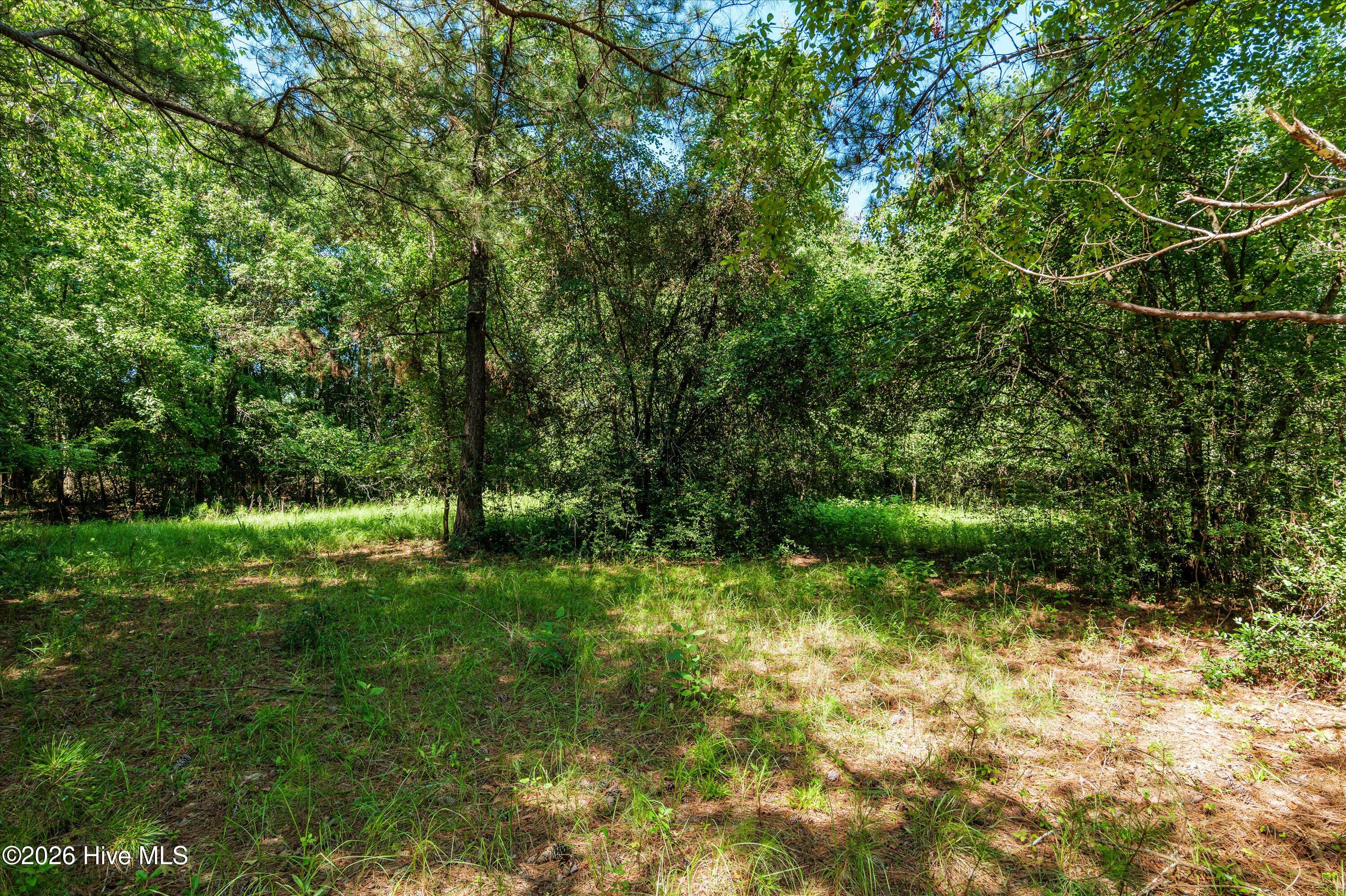 1-b River Oak Drive Property Photo 39