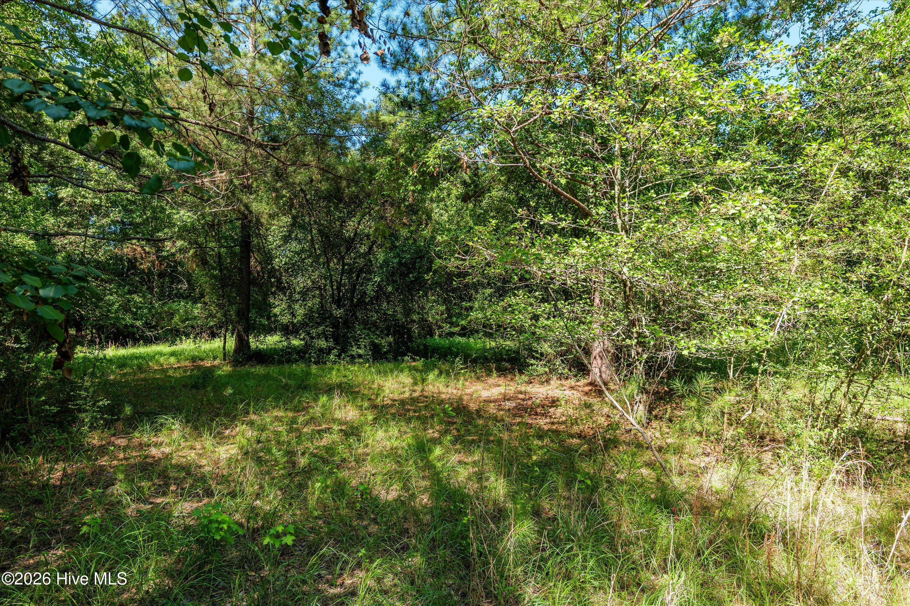 1-b River Oak Drive Property Photo 41