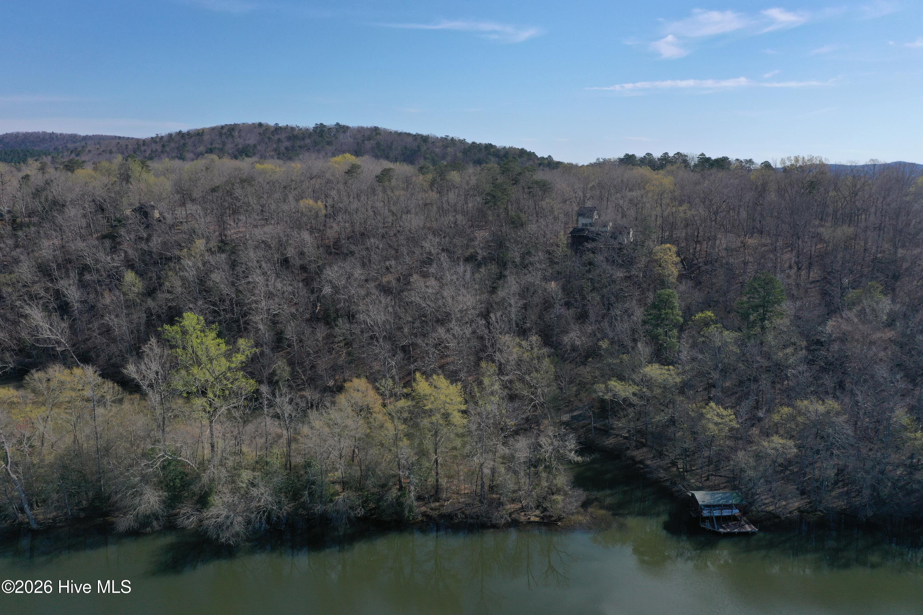 Tbd Haltiwanger Retreat Road Property Photo 7
