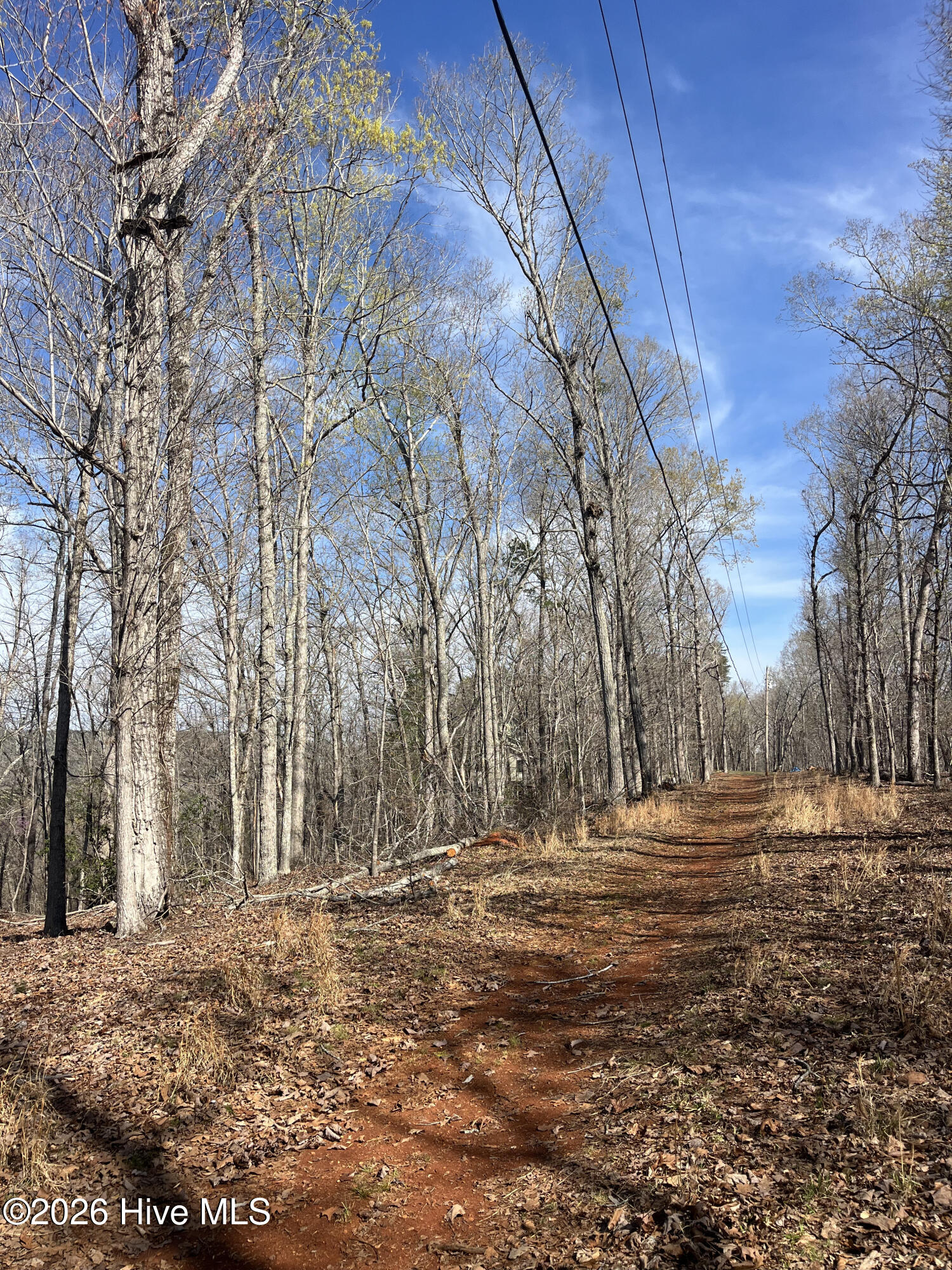 Tbd Haltiwanger Retreat Road Property Photo 11