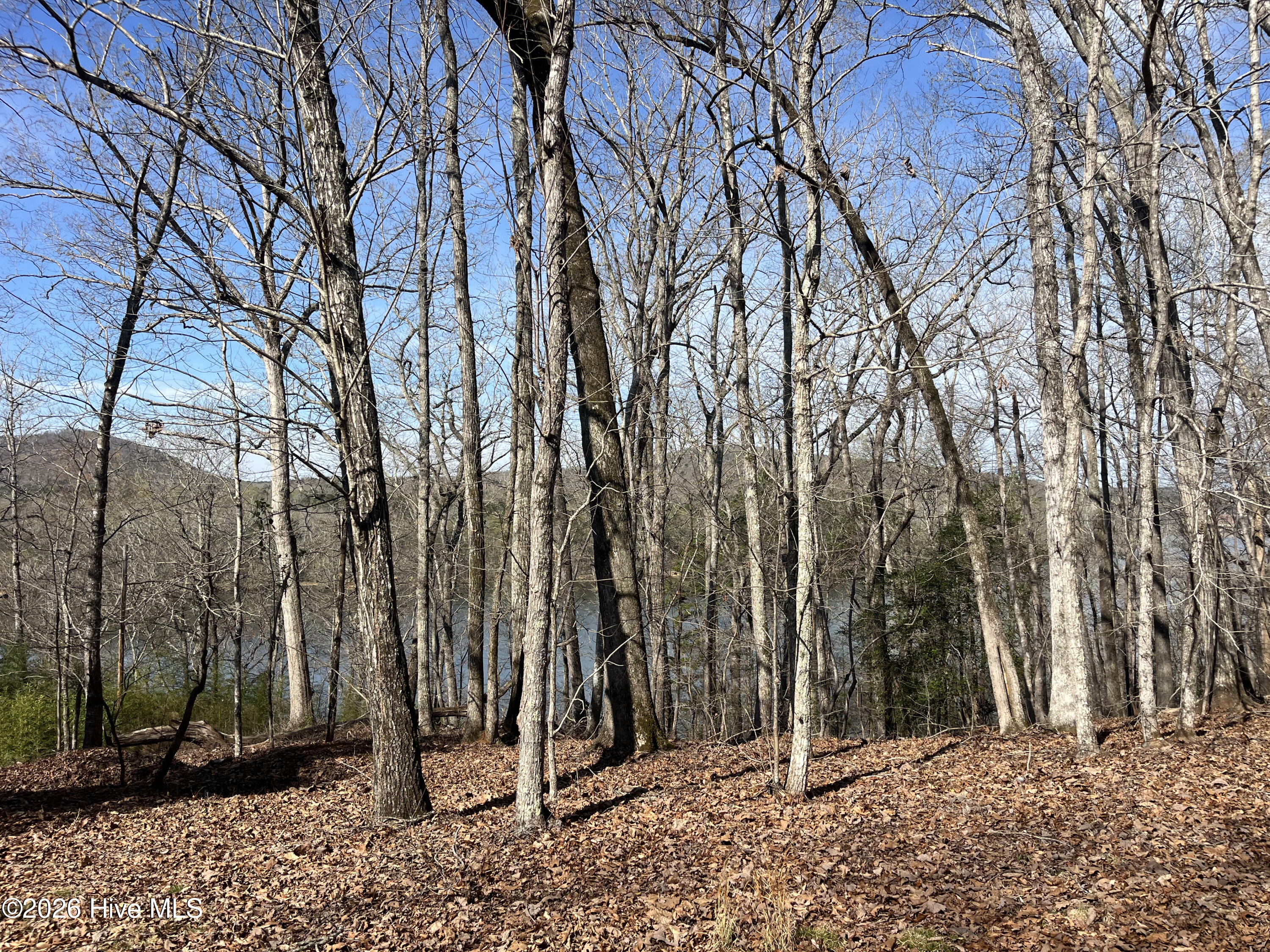 Tbd Haltiwanger Retreat Road Property Photo 12