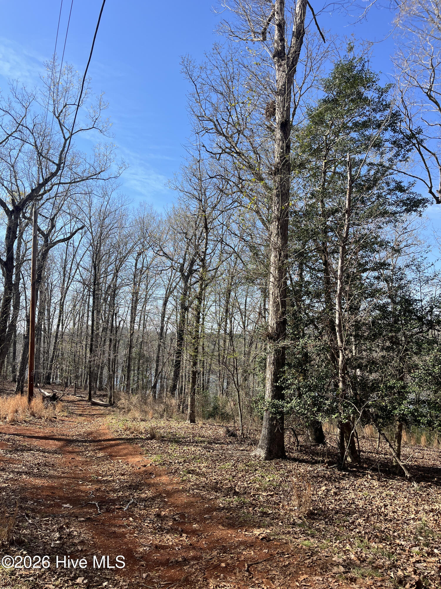 Tbd Haltiwanger Retreat Road Property Photo 13