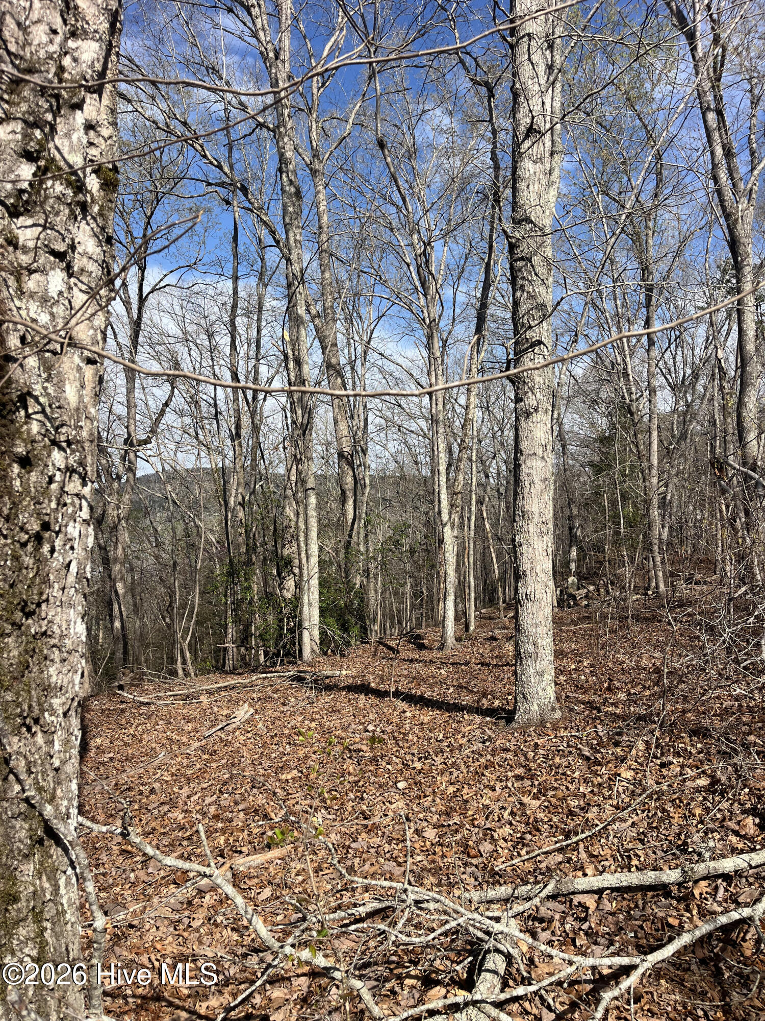 Tbd Haltiwanger Retreat Road Property Photo 14