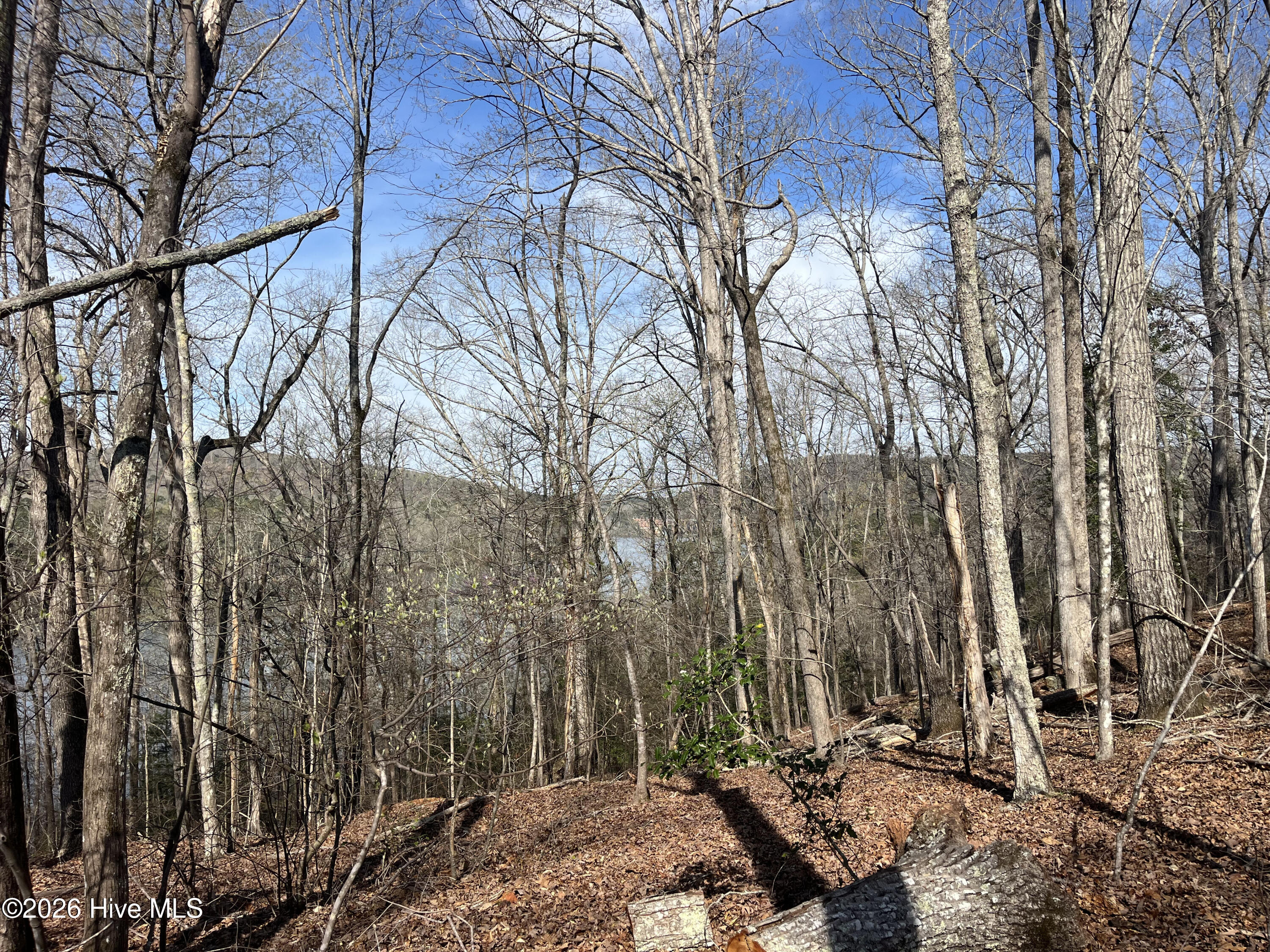 Tbd Haltiwanger Retreat Road Property Photo 15