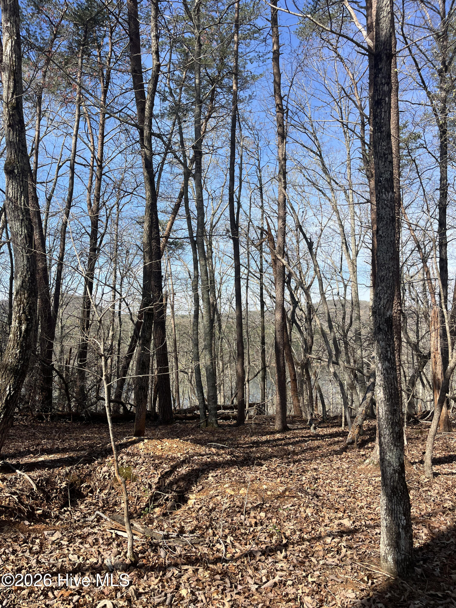 Tbd Haltiwanger Retreat Road Property Photo 16