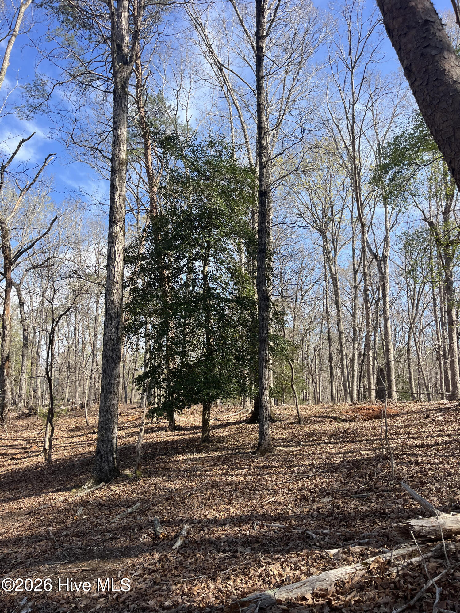 Tbd Haltiwanger Retreat Road Property Photo 17