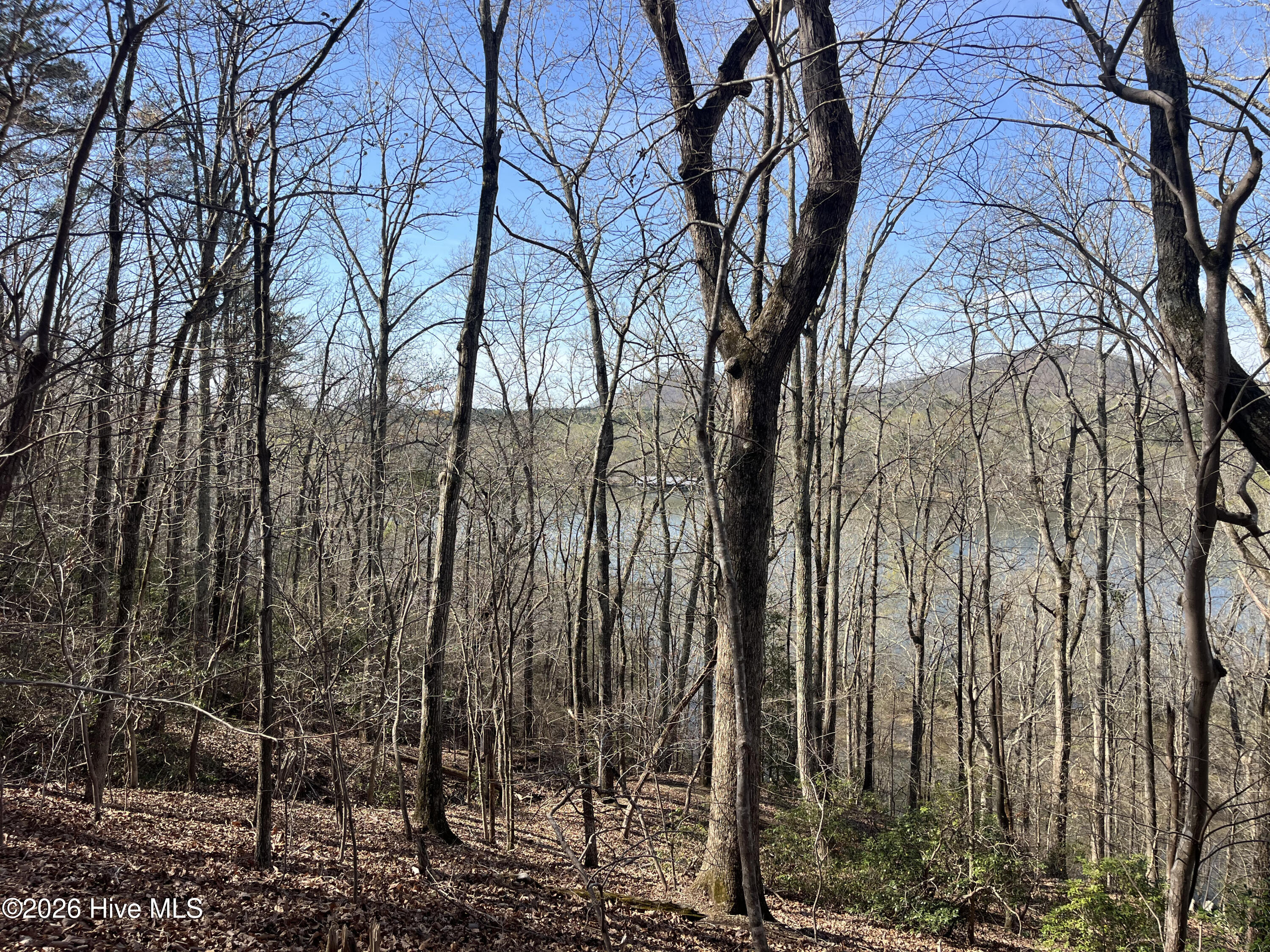 Tbd Haltiwanger Retreat Road Property Photo 18