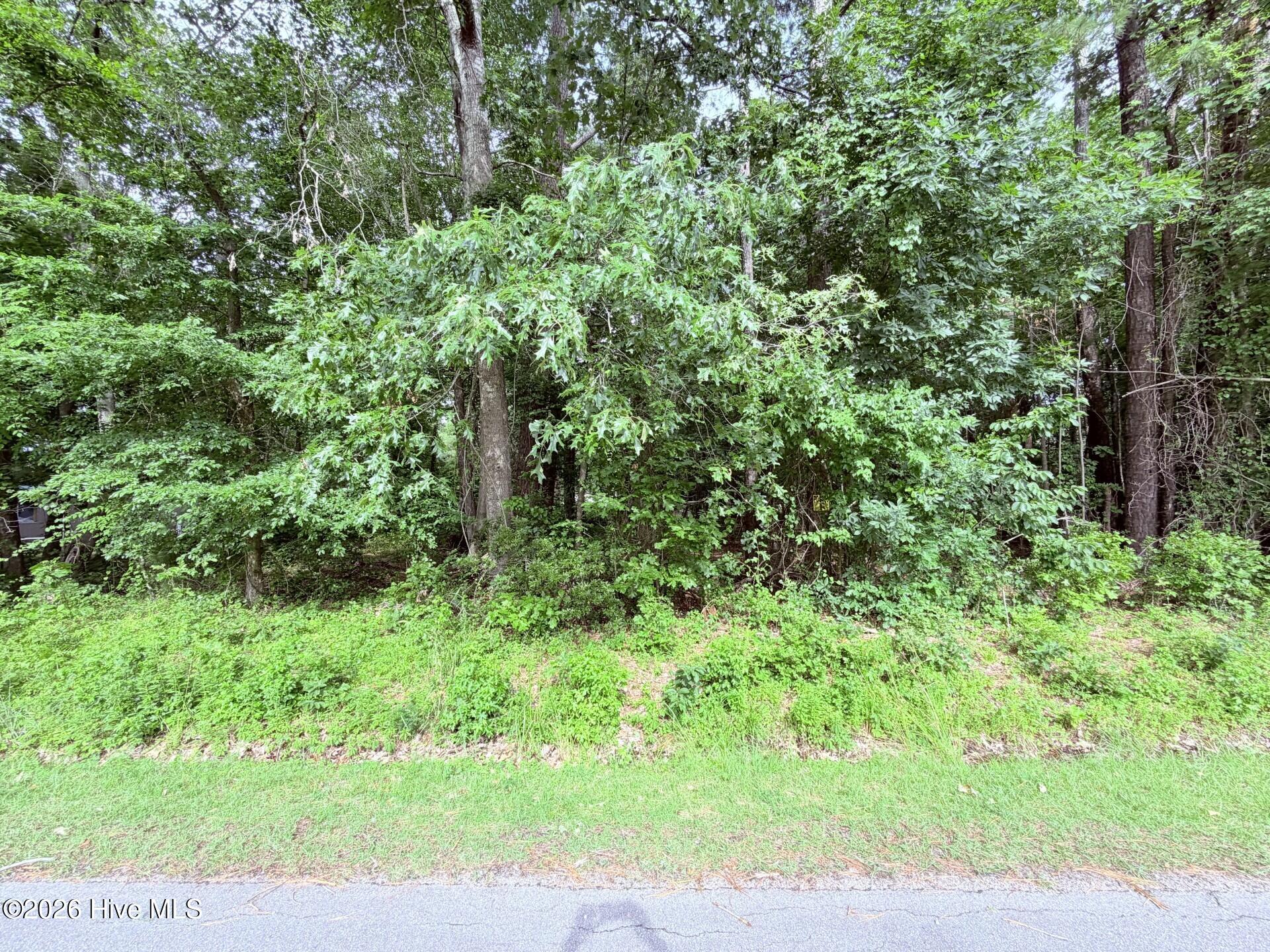 73 73 Laurel Street Property Photo 2