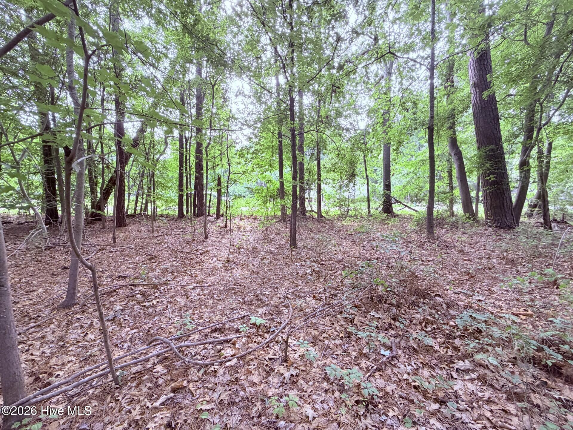 73 73 Laurel Street Property Photo 5