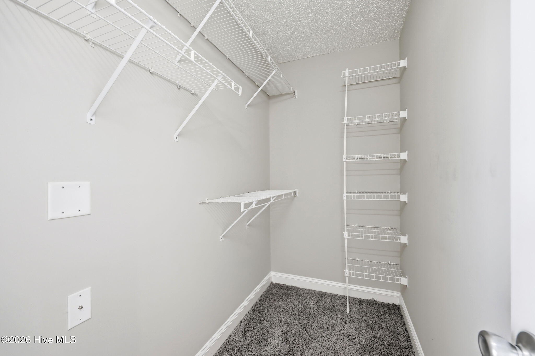 4242 Dudleys Grant Drive E Property Photo 34