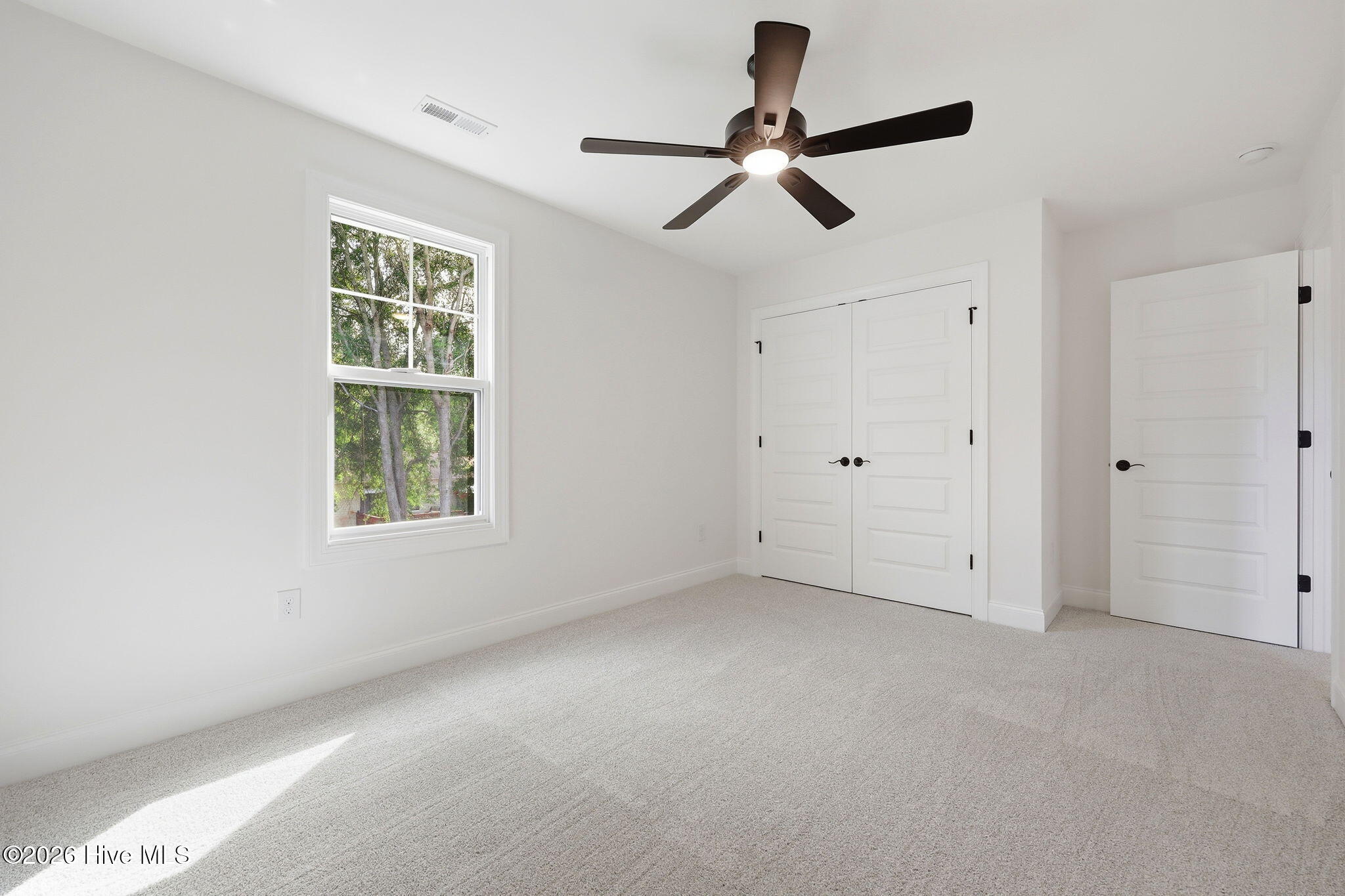 224 Telluride Court Property Photo 11