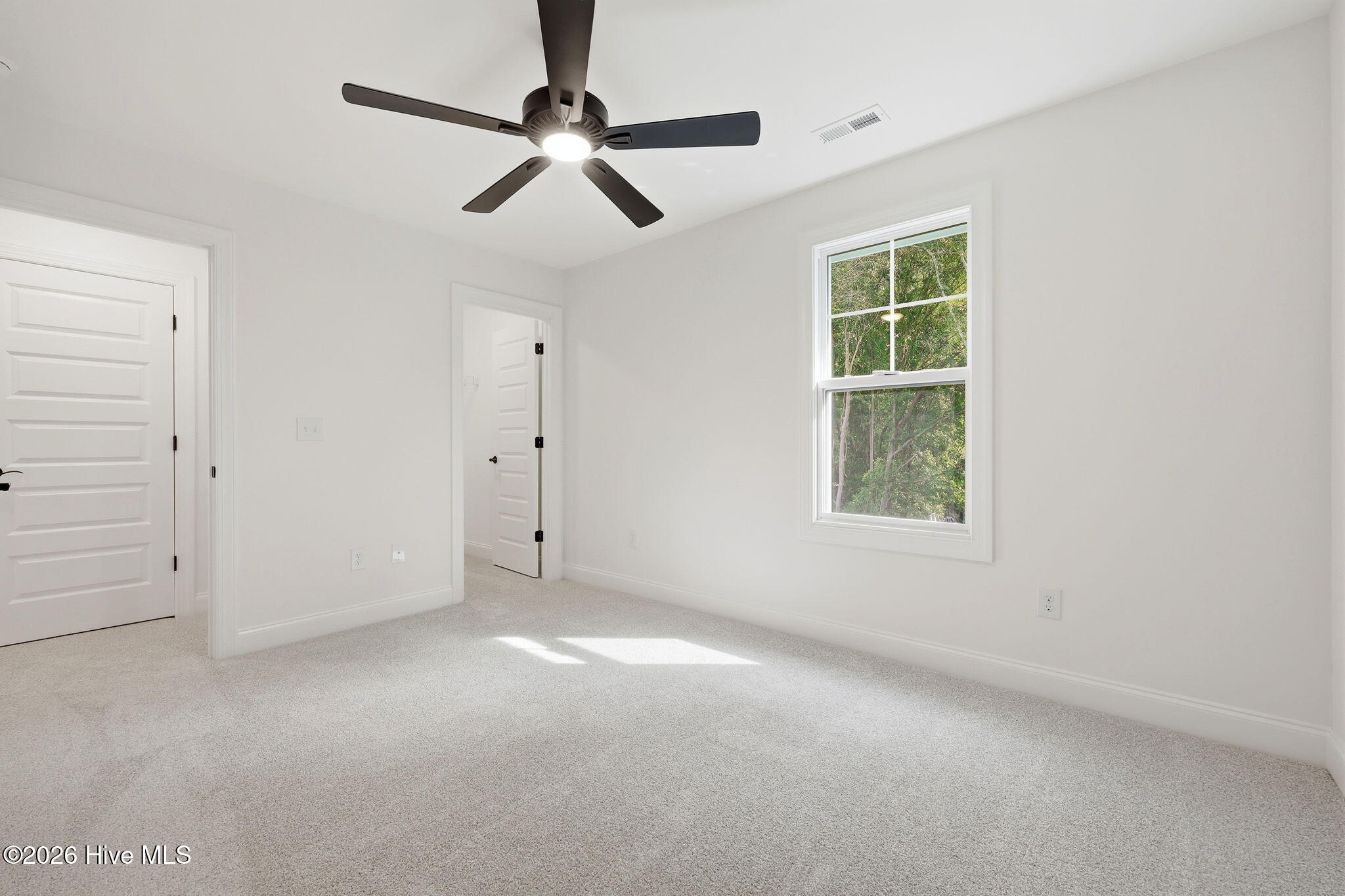 224 Telluride Court Property Photo 12