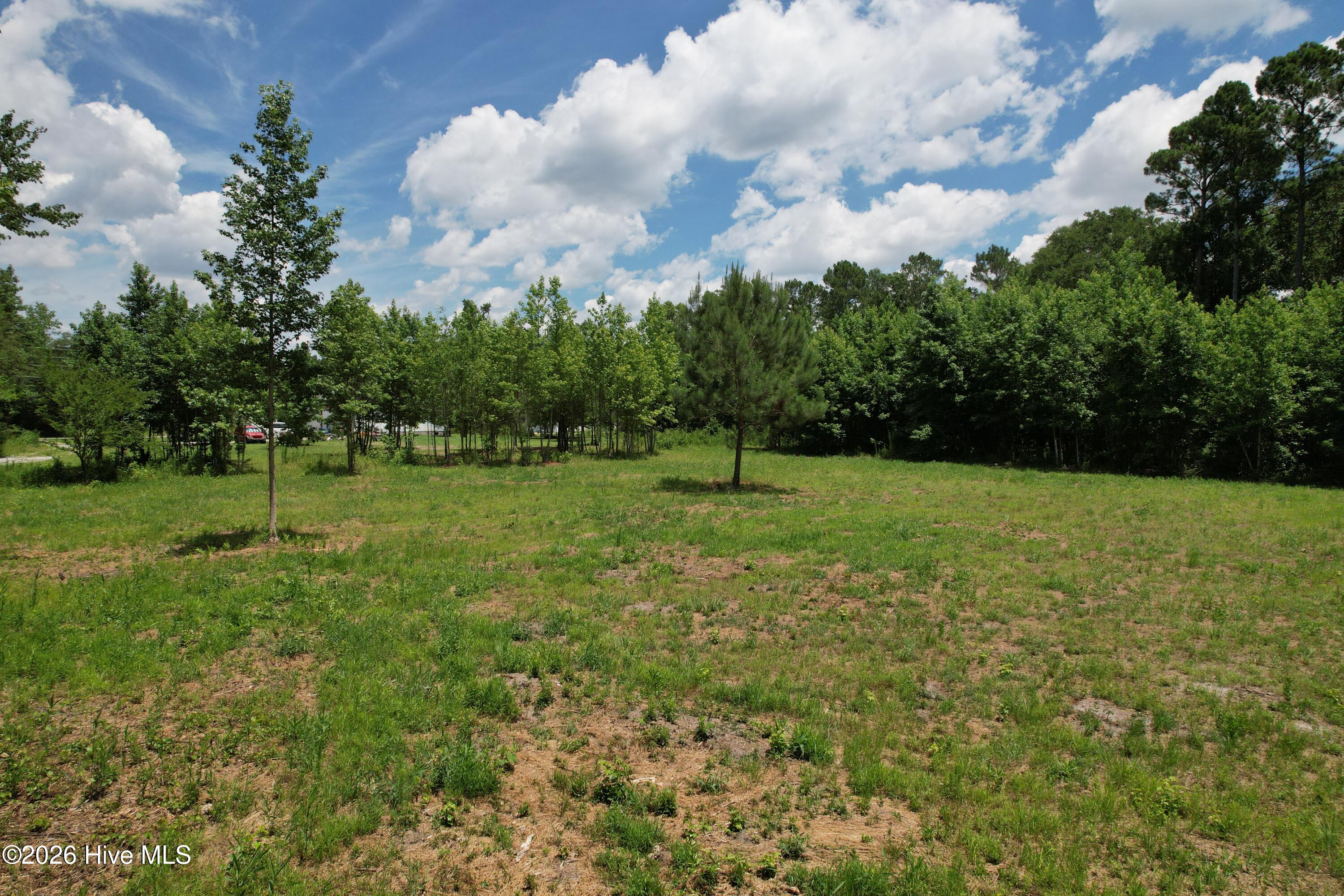 00 Old Chinquapin Road Property Photo 25