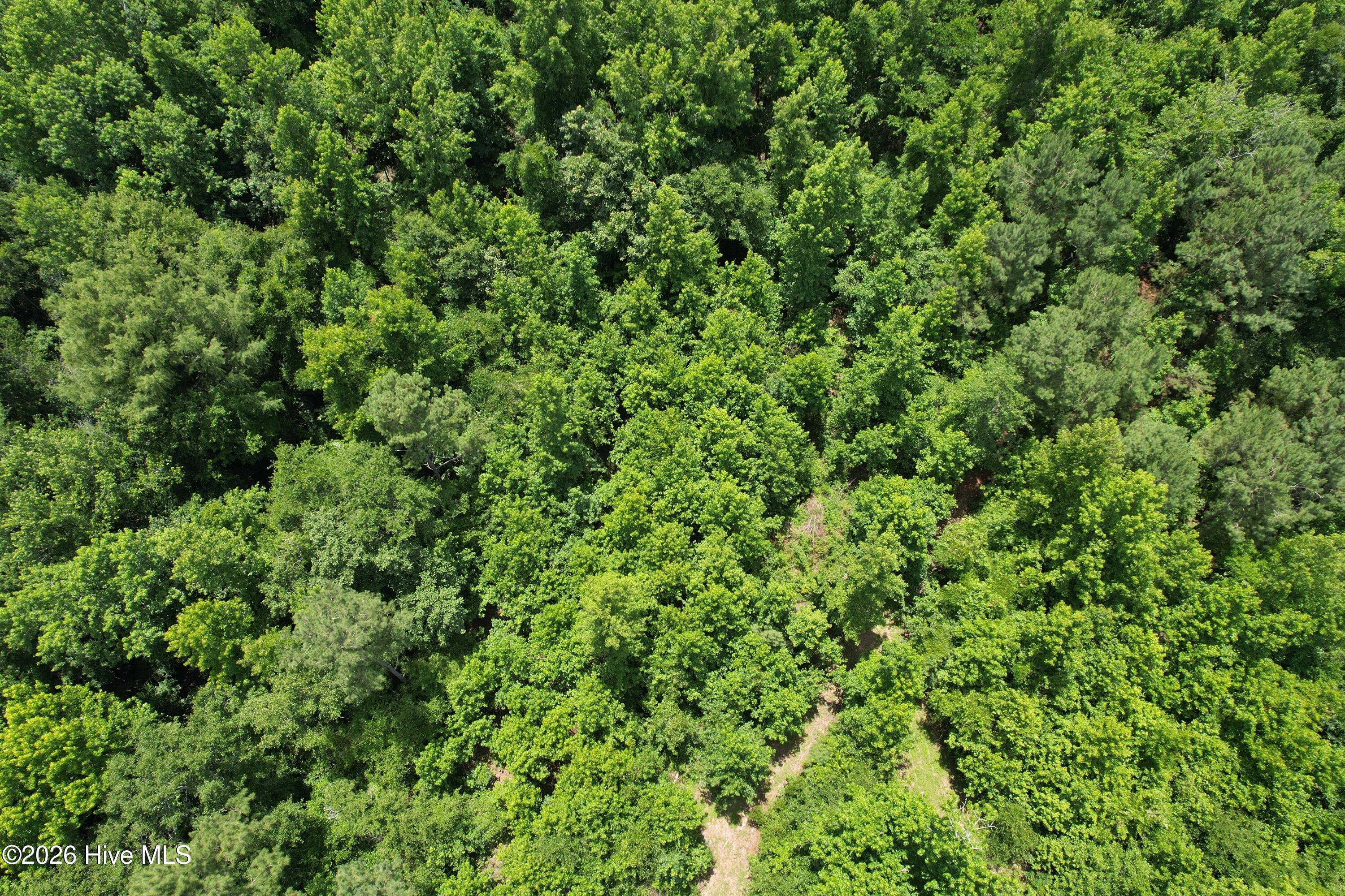 00 Old Chinquapin Road Property Photo 26