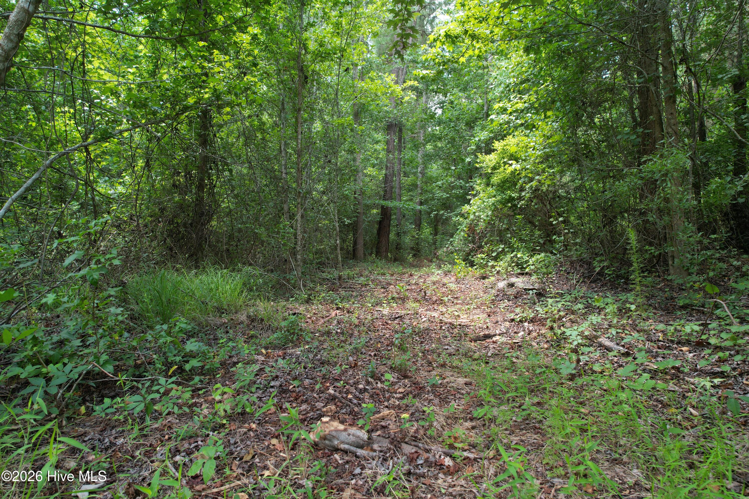 00 Old Chinquapin Road Property Photo 29
