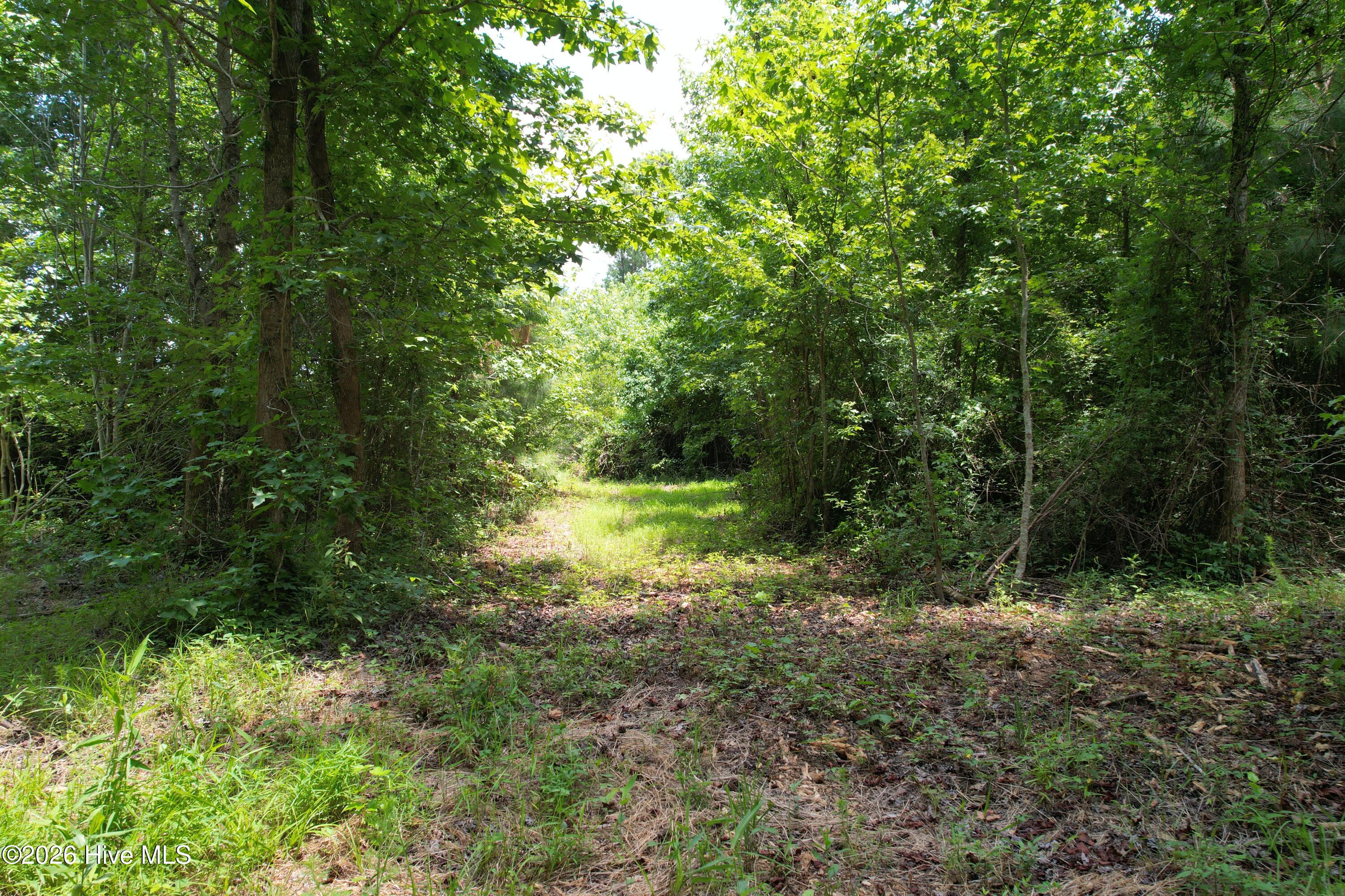00 Old Chinquapin Road Property Photo 31