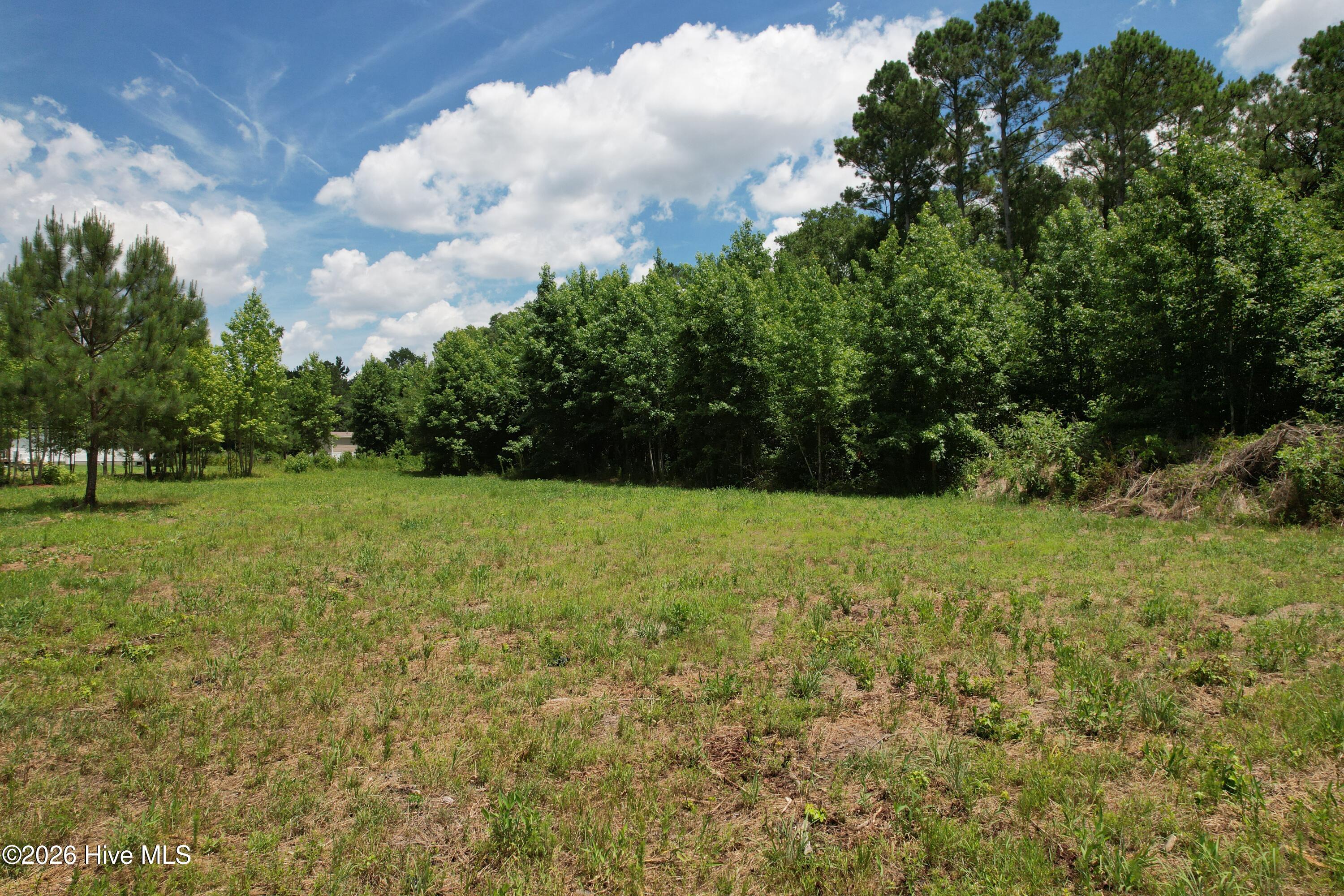 00 Old Chinquapin Road Property Photo 33