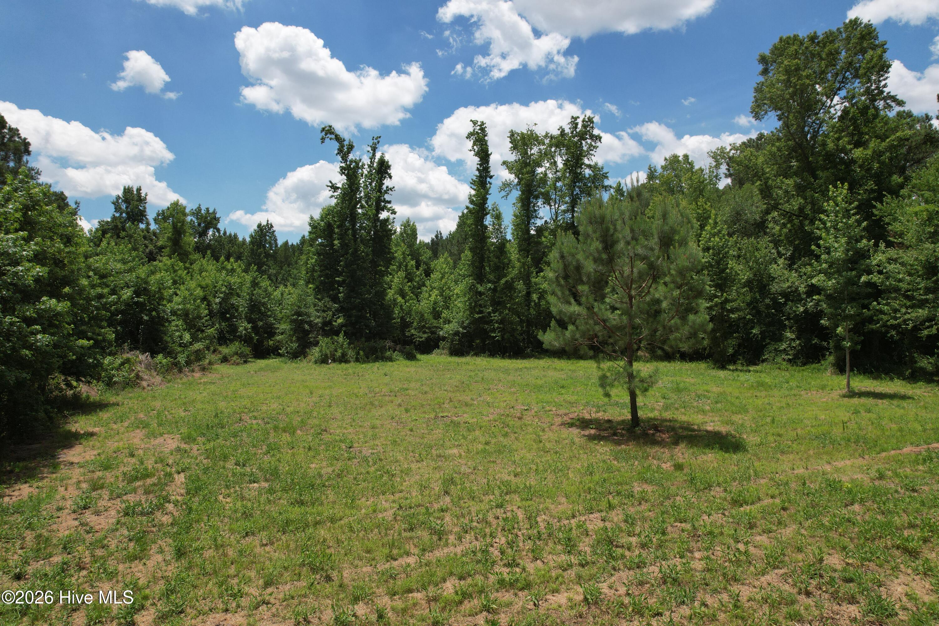 00 Old Chinquapin Road Property Photo 34