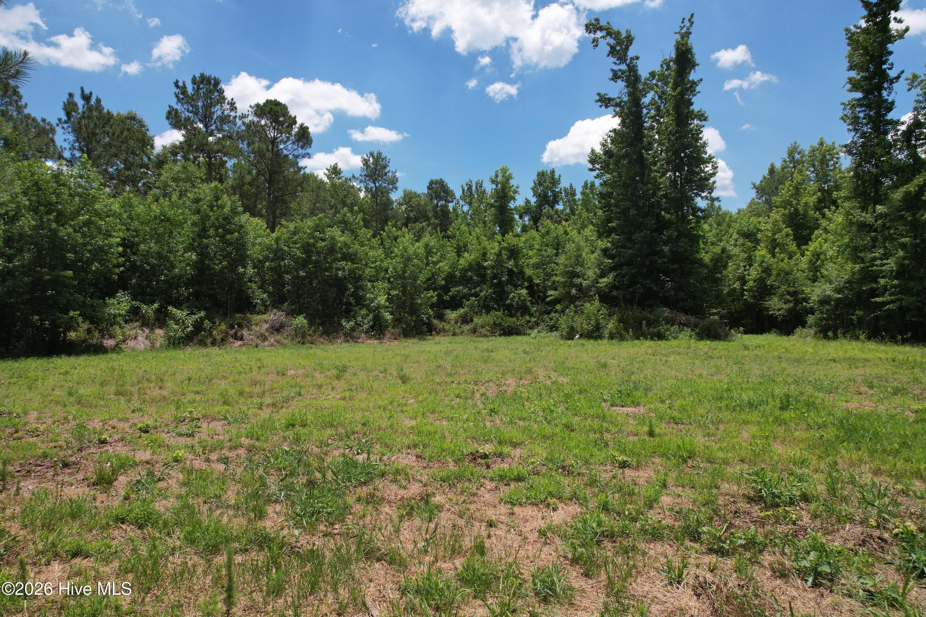 00 Old Chinquapin Road Property Photo 35