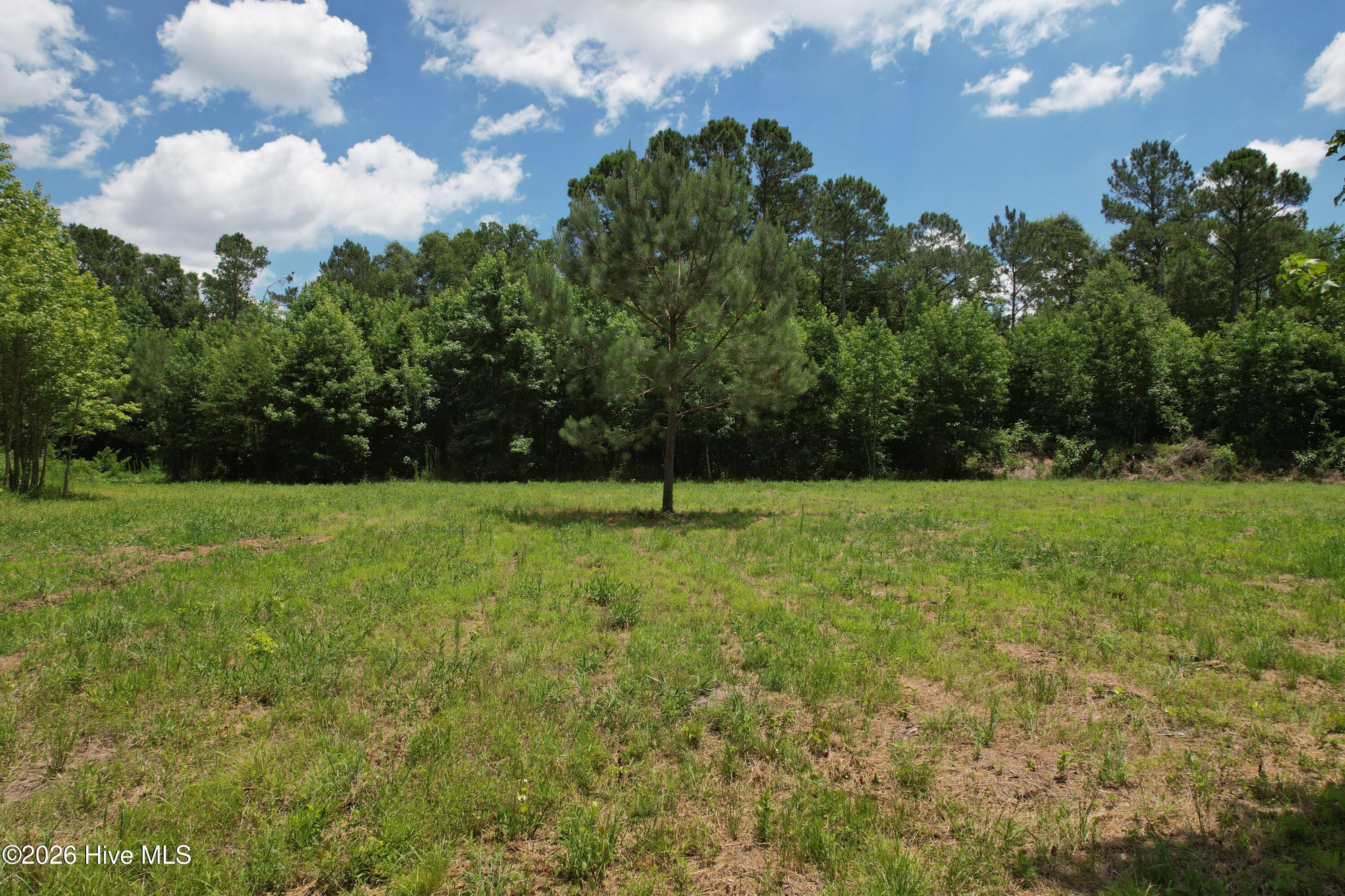 00 Old Chinquapin Road Property Photo 38