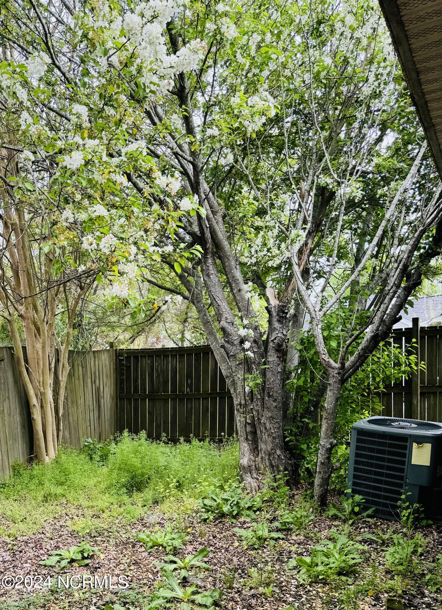 2607 Bluff View Drive B Property Photo 15