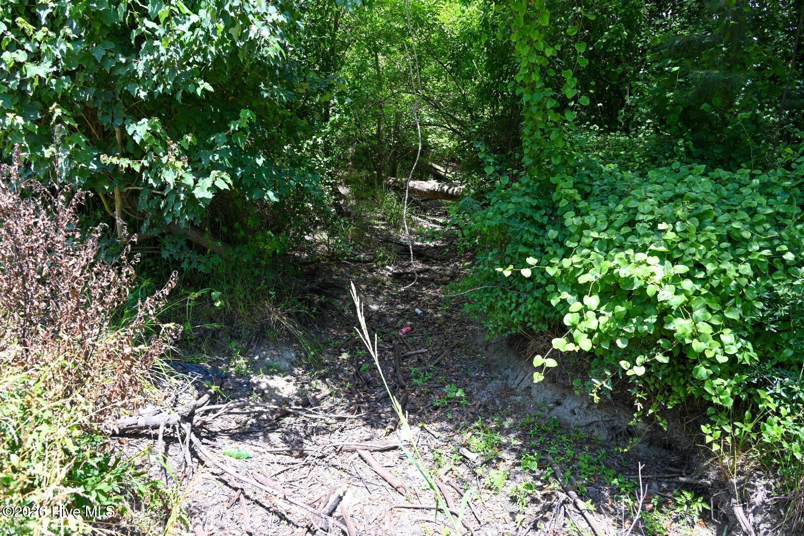 0 Rooks Road Property Photo 65