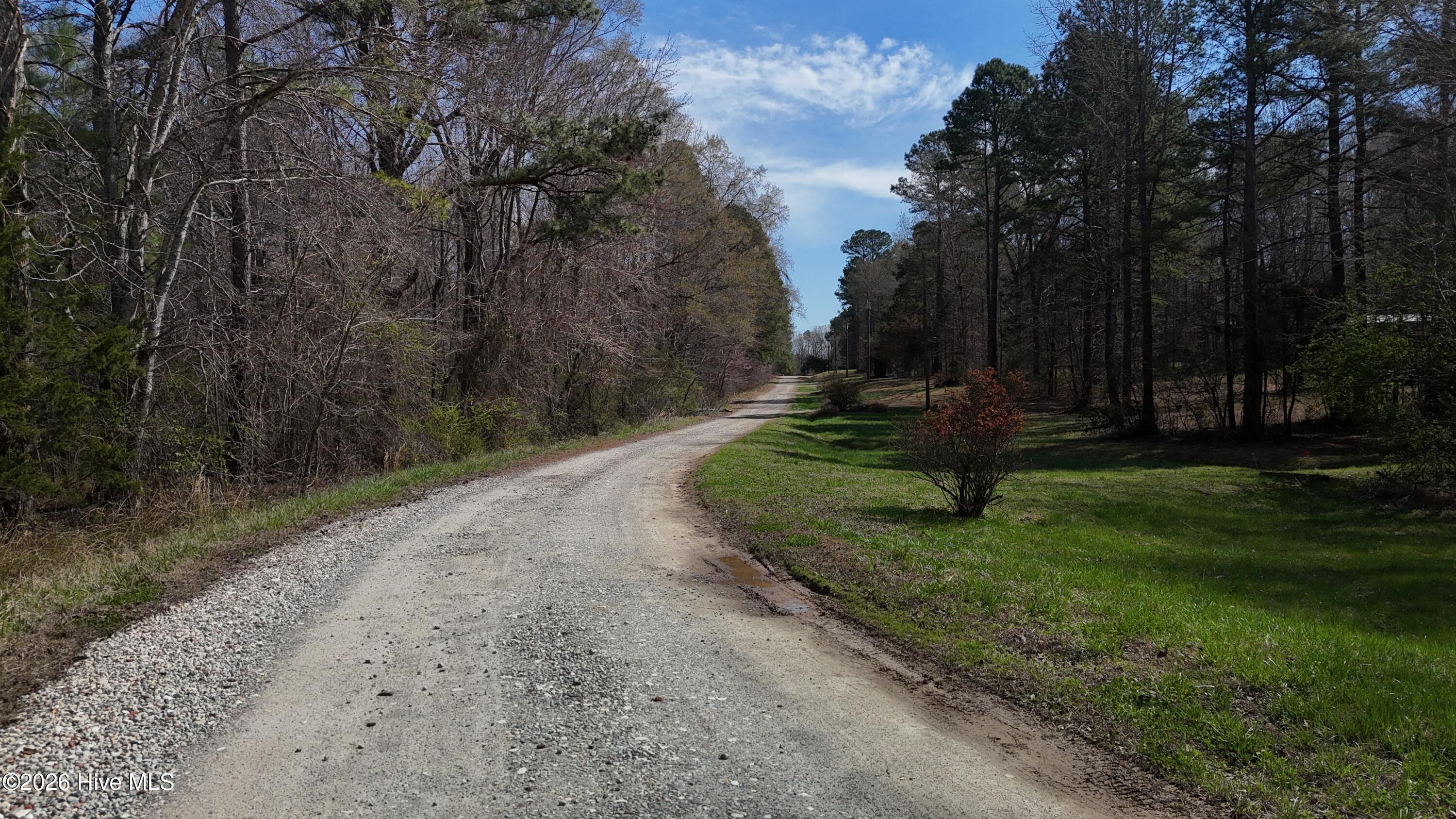 0 Old Pleasant Drive Property Photo 4