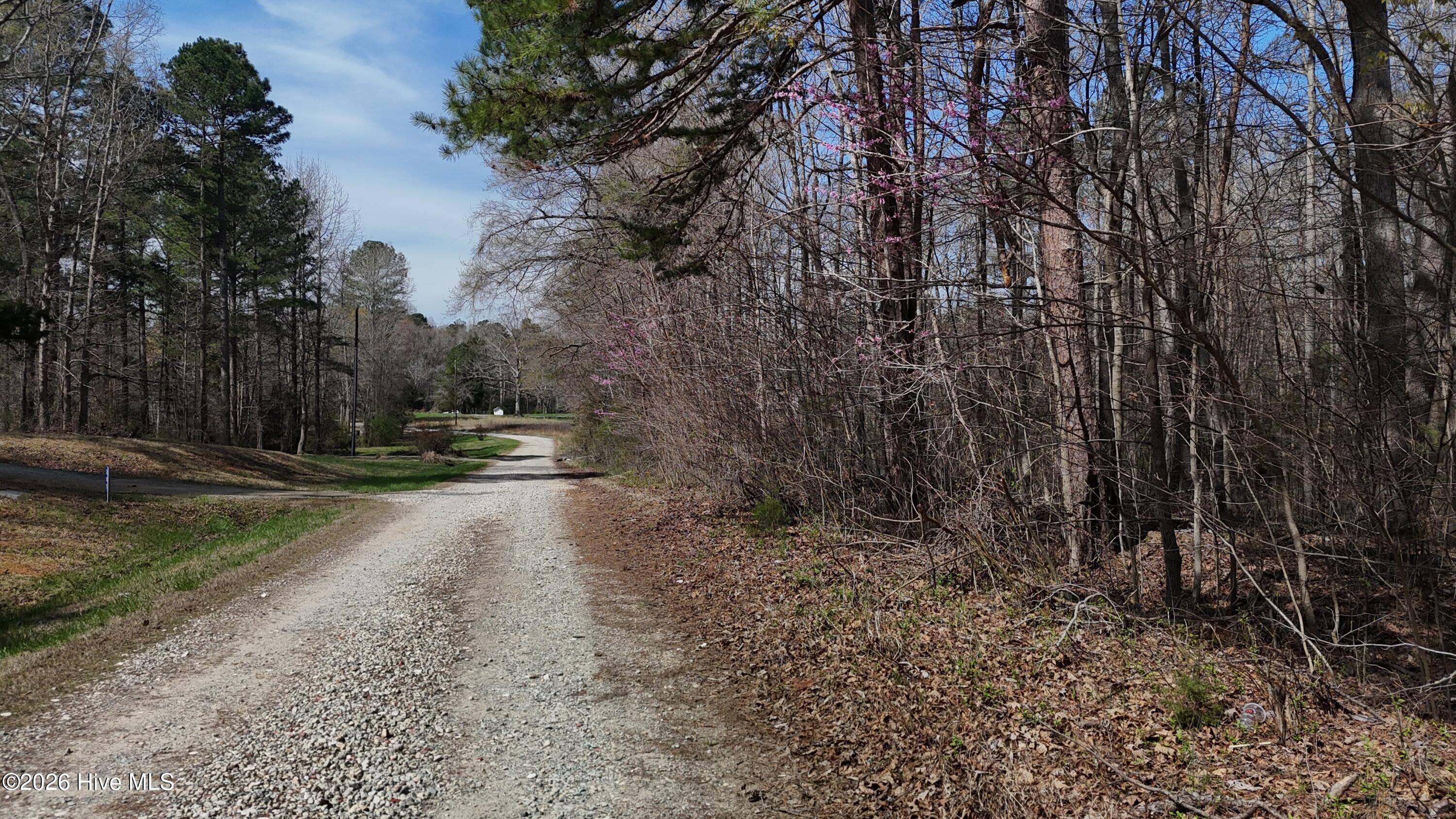 0 Old Pleasant Drive Property Photo 7