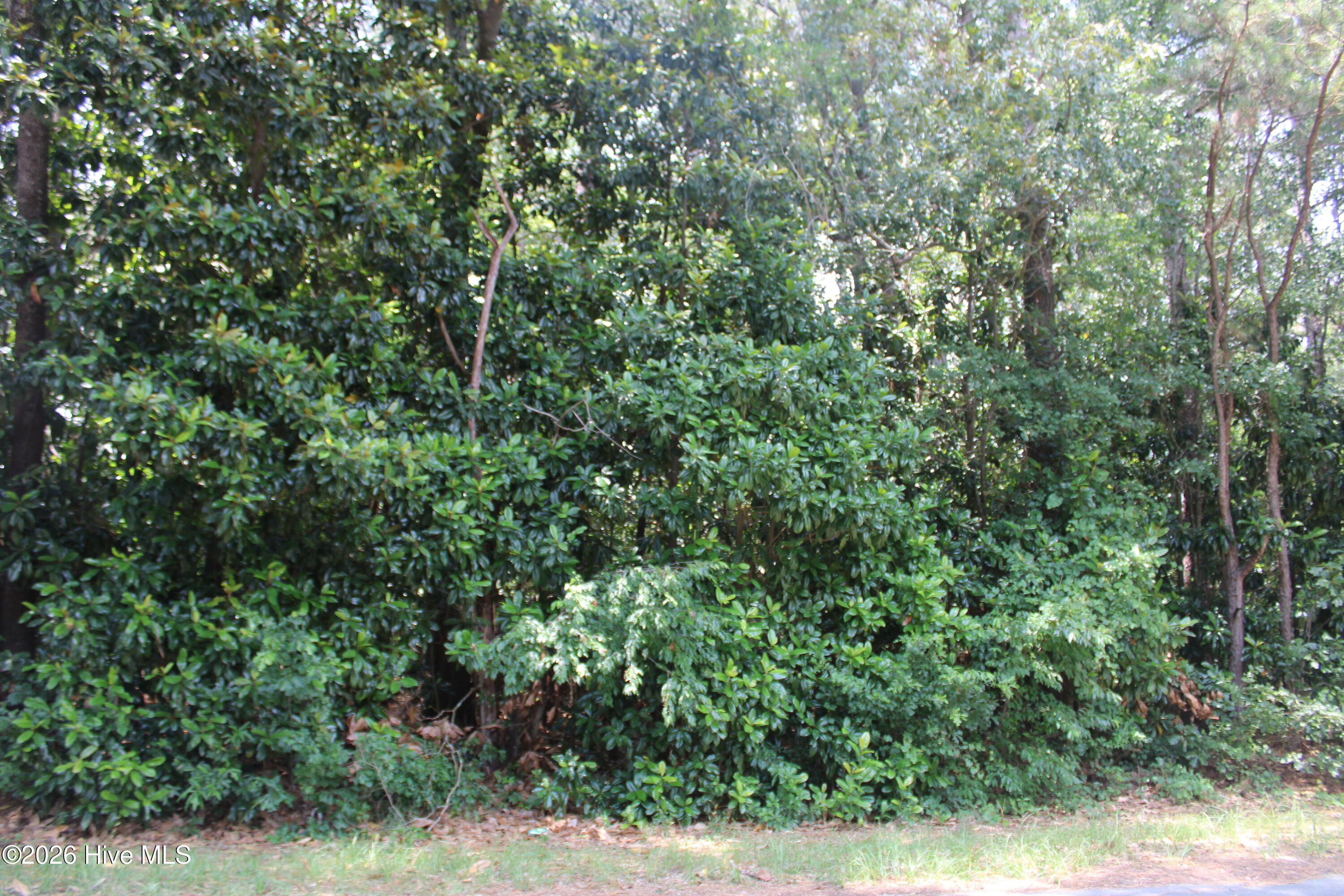 Lot 20 20 Grant Drive Property Photo 3