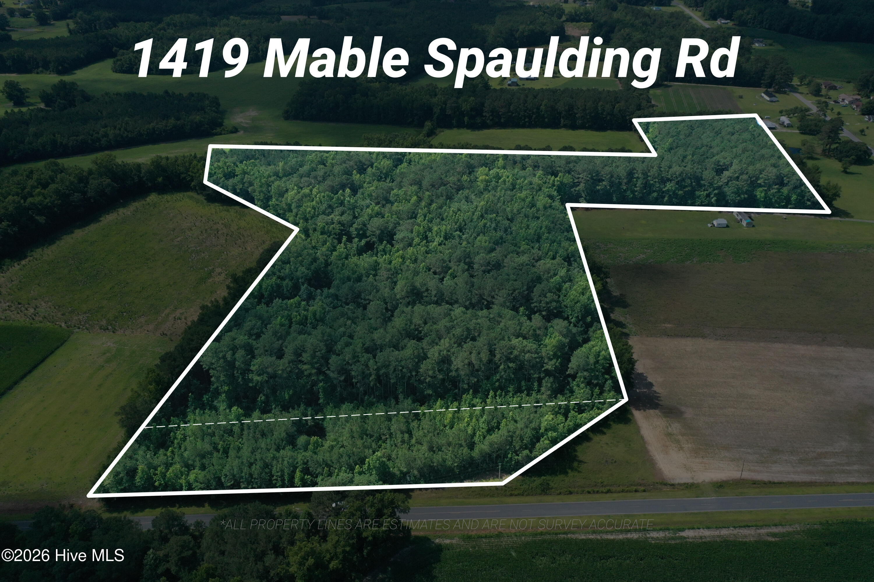 1419 Mable Spaulding Road Property Photo 1