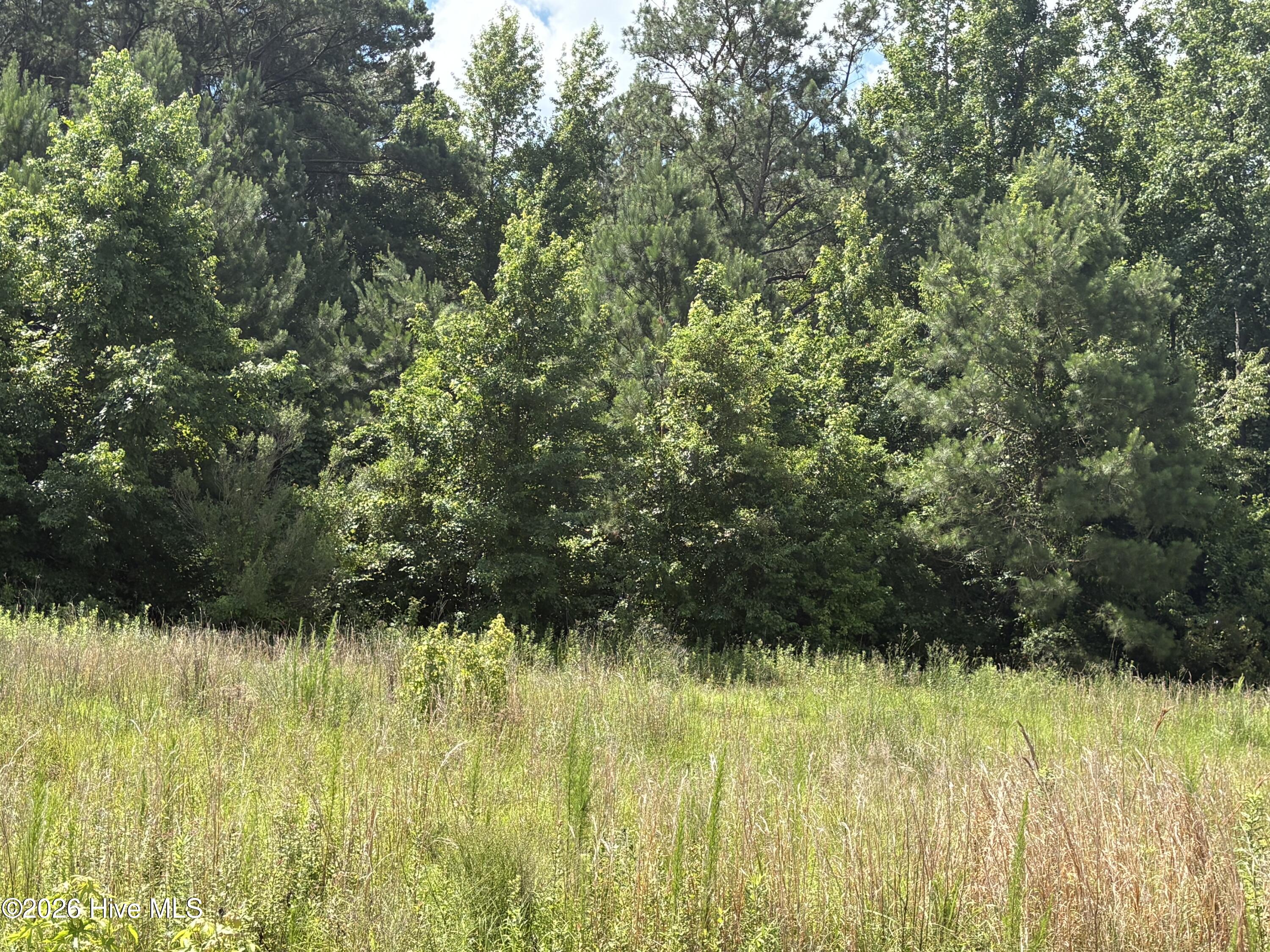 1419 Mable Spaulding Road Property Photo 2