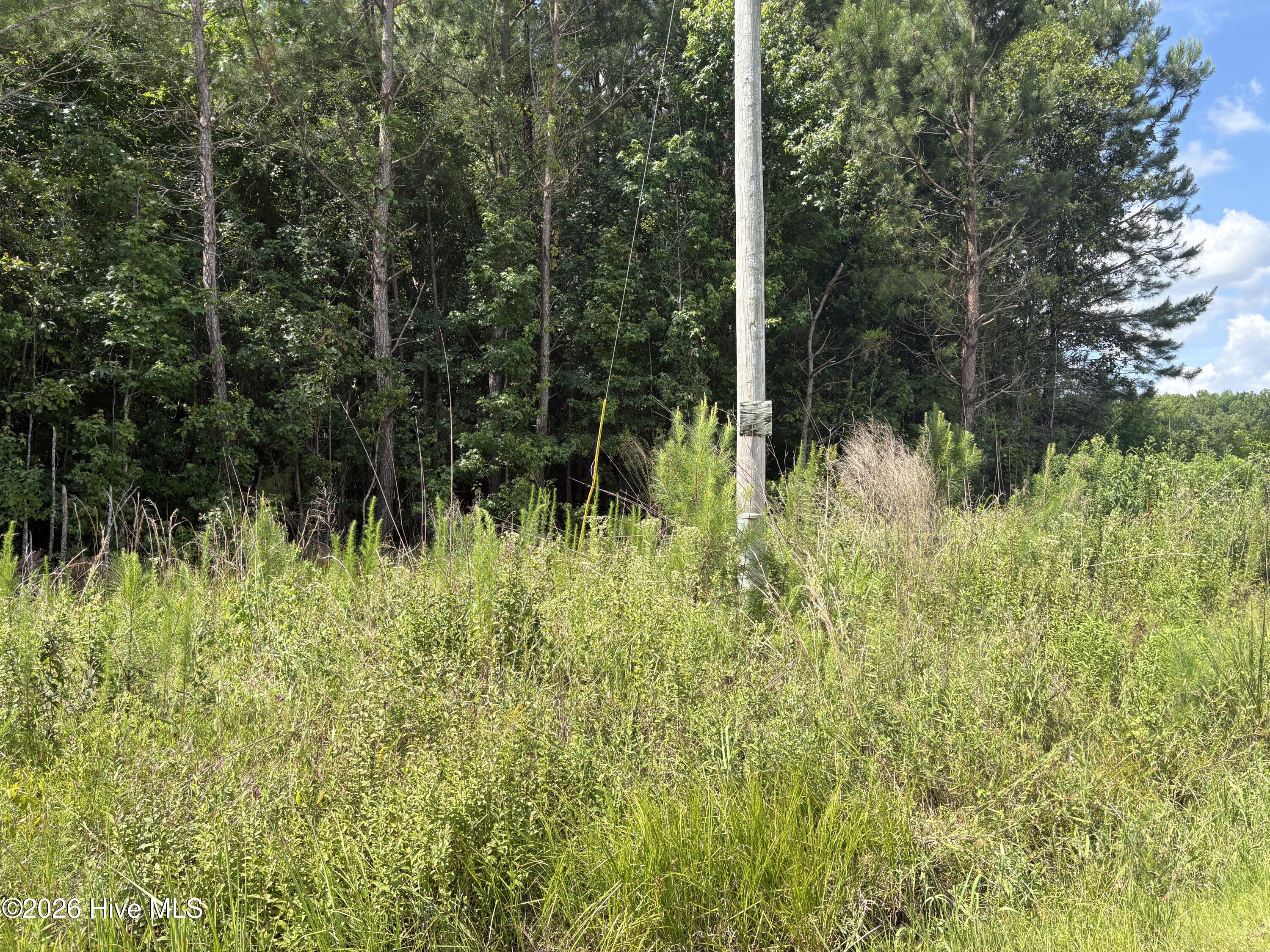 1419 Mable Spaulding Road Property Photo 3