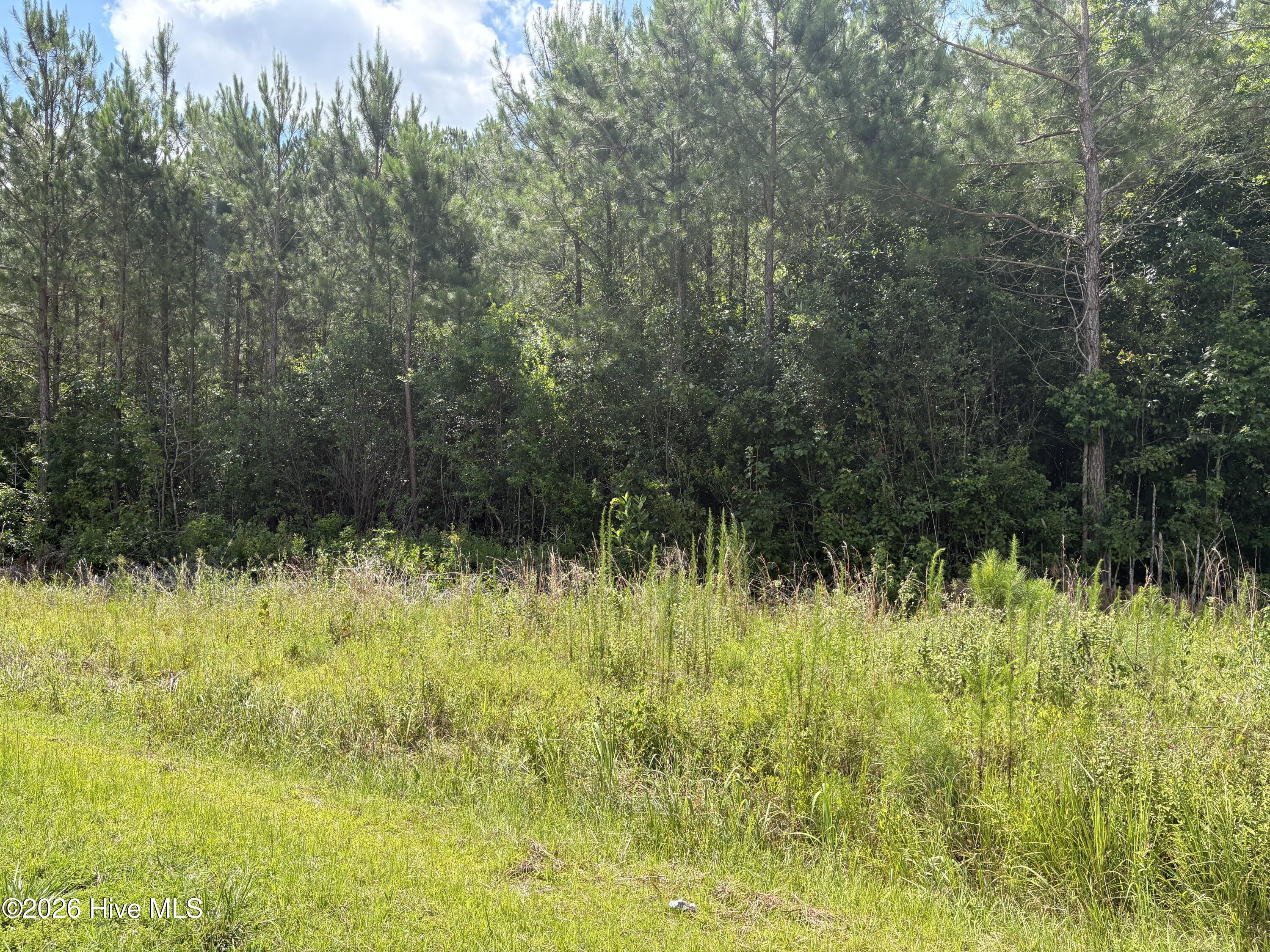 1419 Mable Spaulding Road Property Photo 4