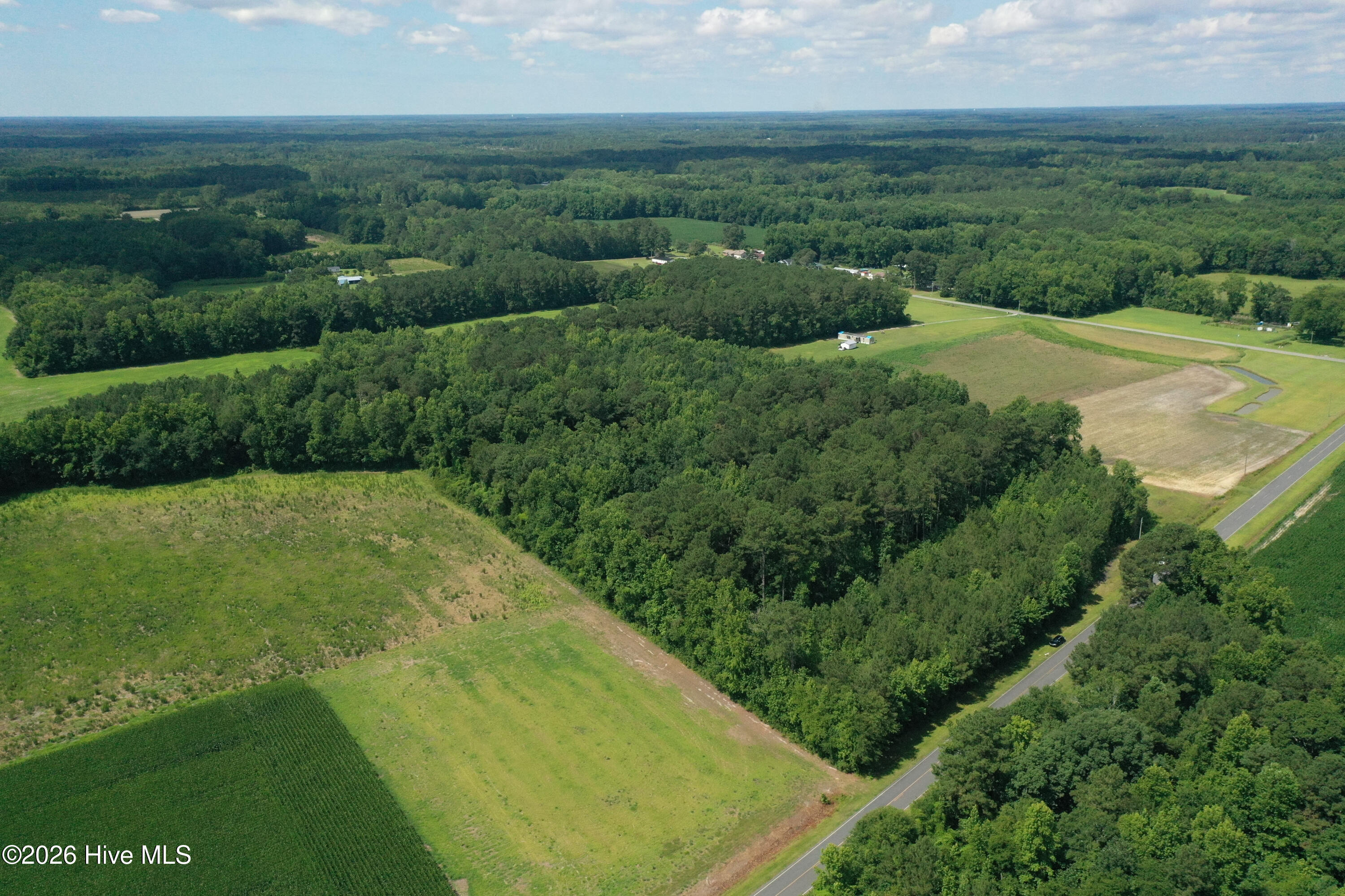 1419 Mable Spaulding Road Property Photo 13