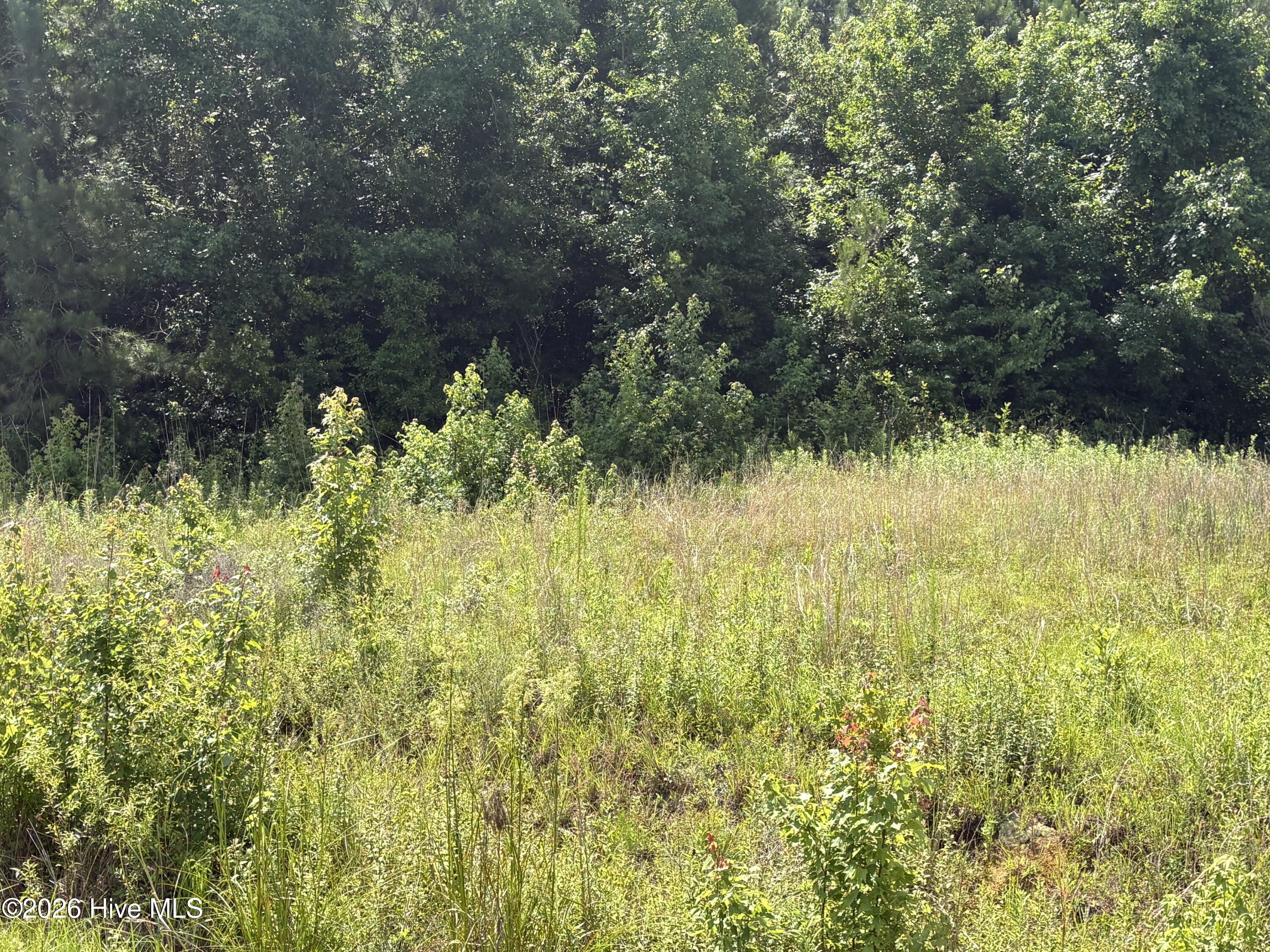 1419 Mable Spaulding Road Property Photo 16
