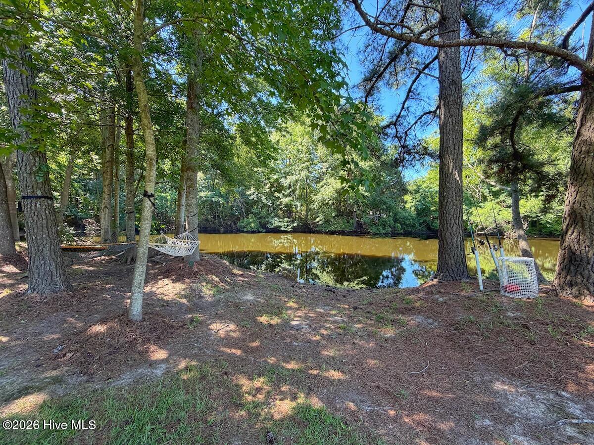 211 Arbor Drive Property Photo 59