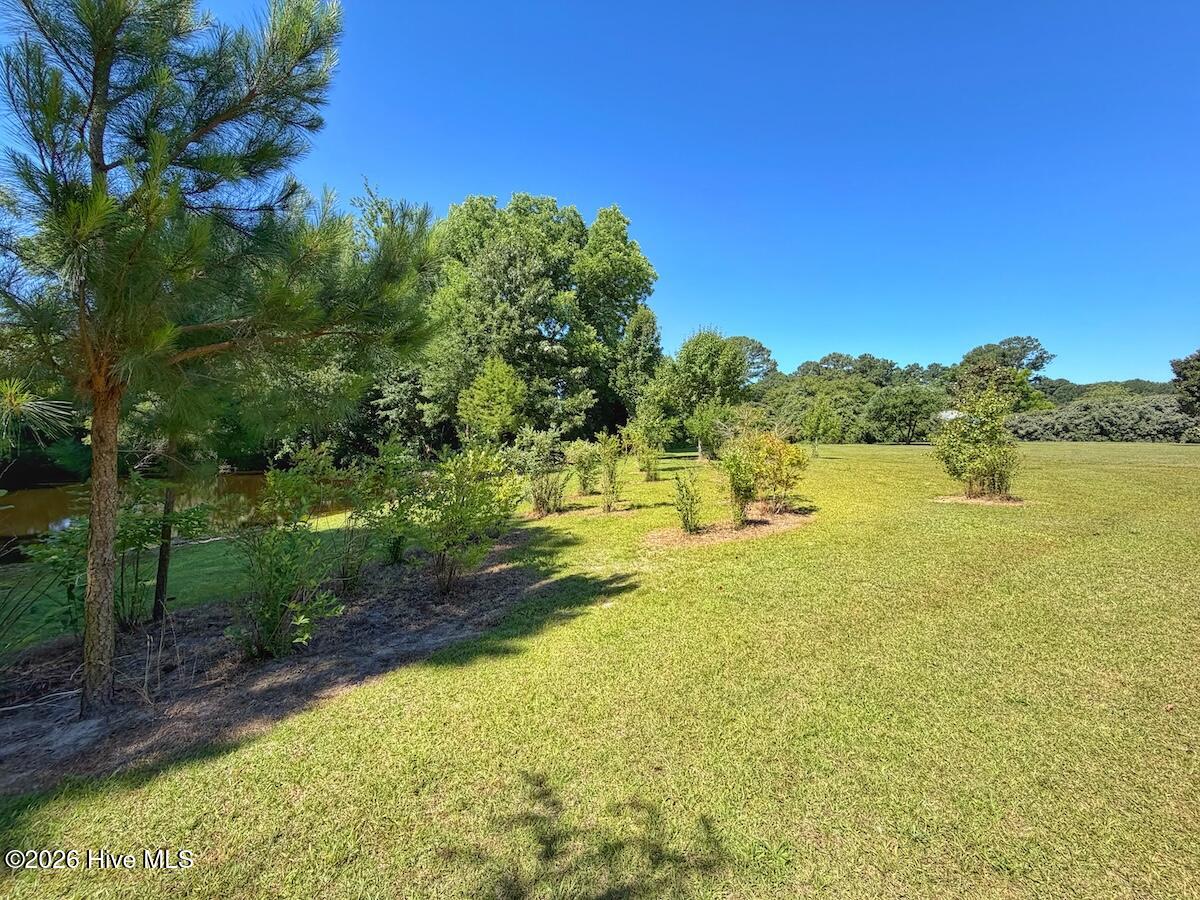 211 Arbor Drive Property Photo 61