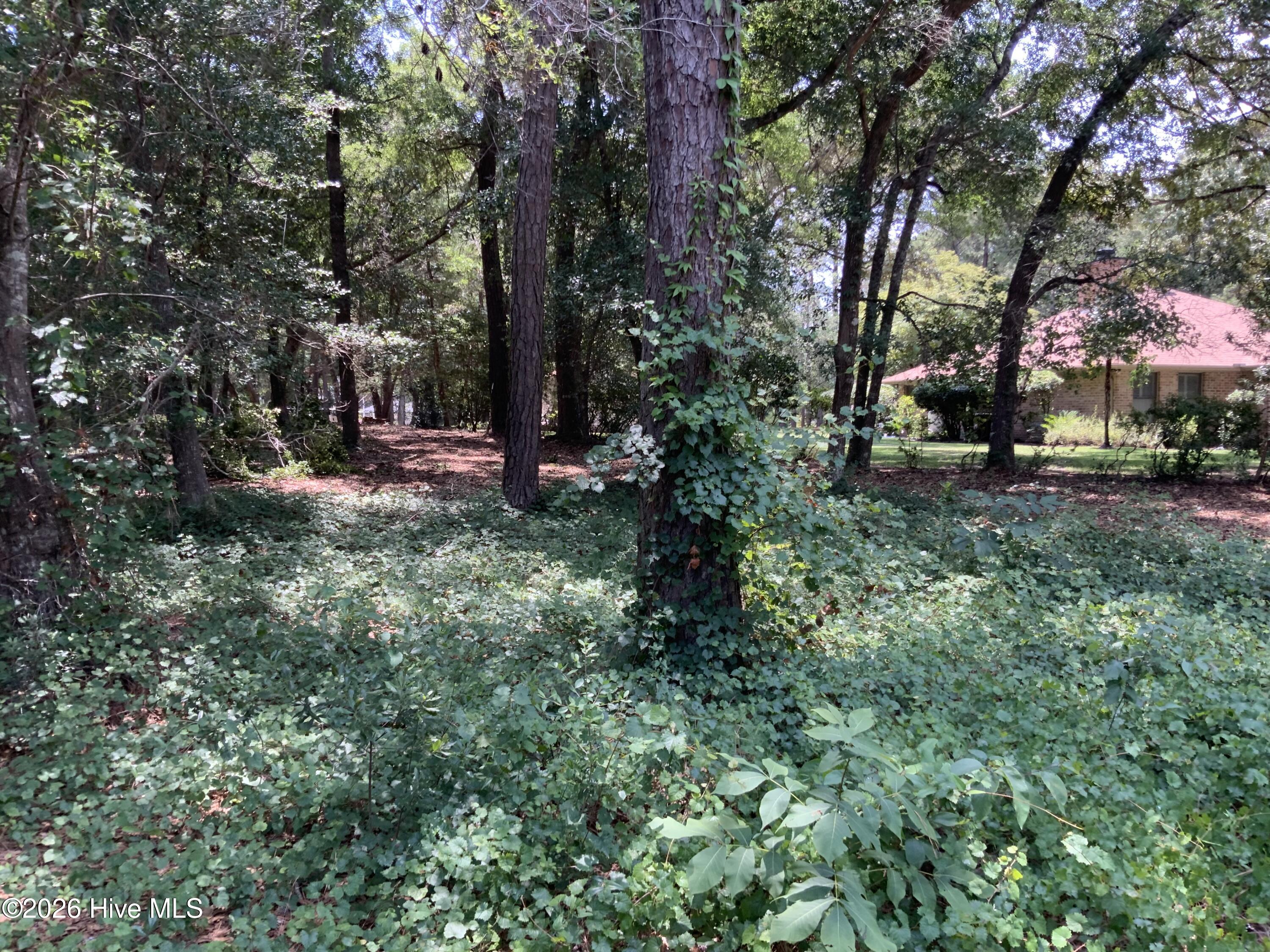 709 Lakeside Drive Se Property Photo 5