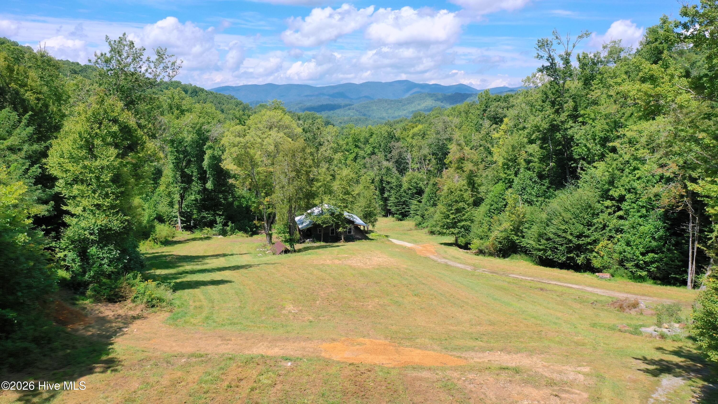 575 Vestal Cochran Road Property Photo 60