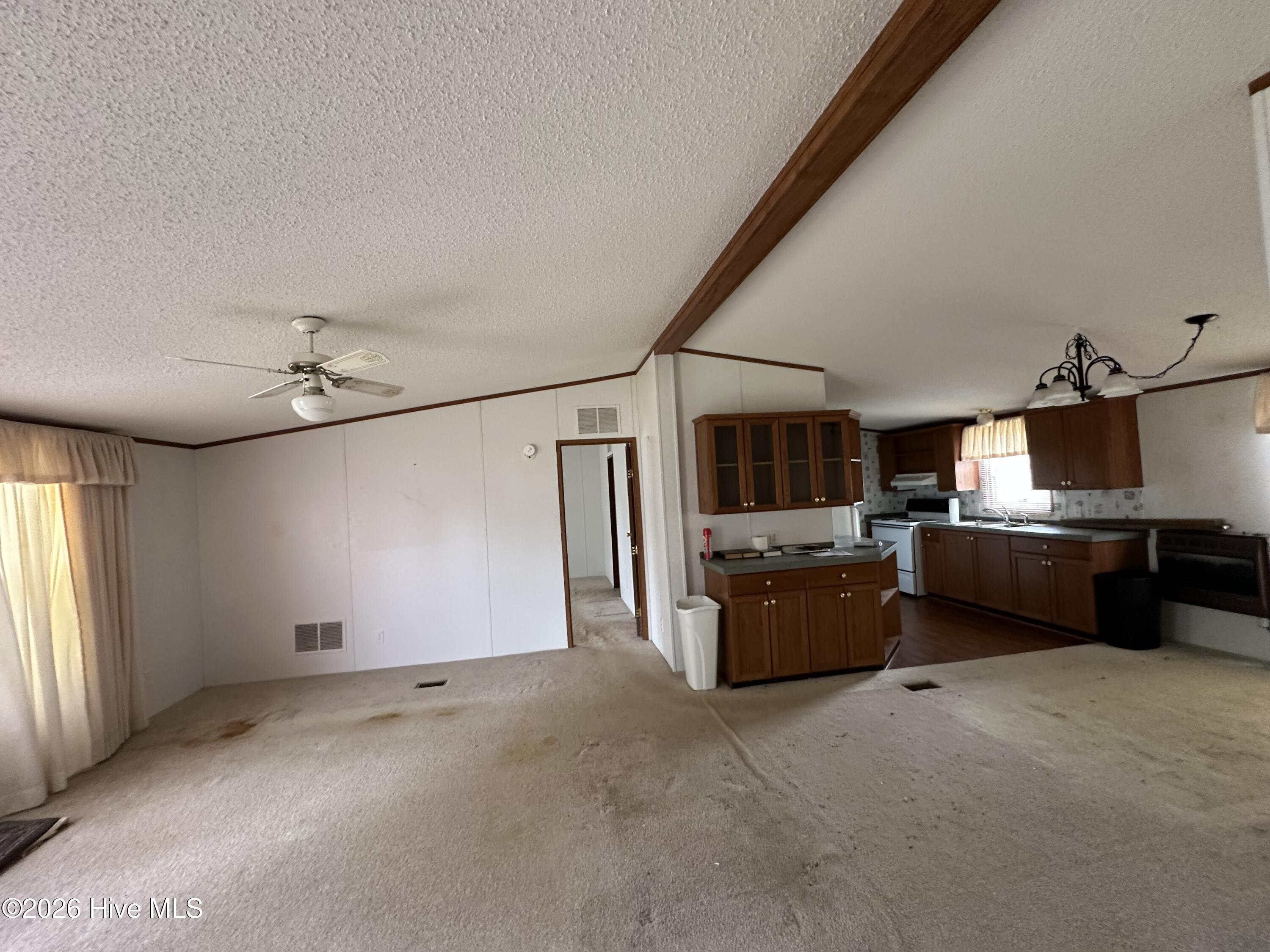 113 Carlyle Askew Drive Property Photo 13
