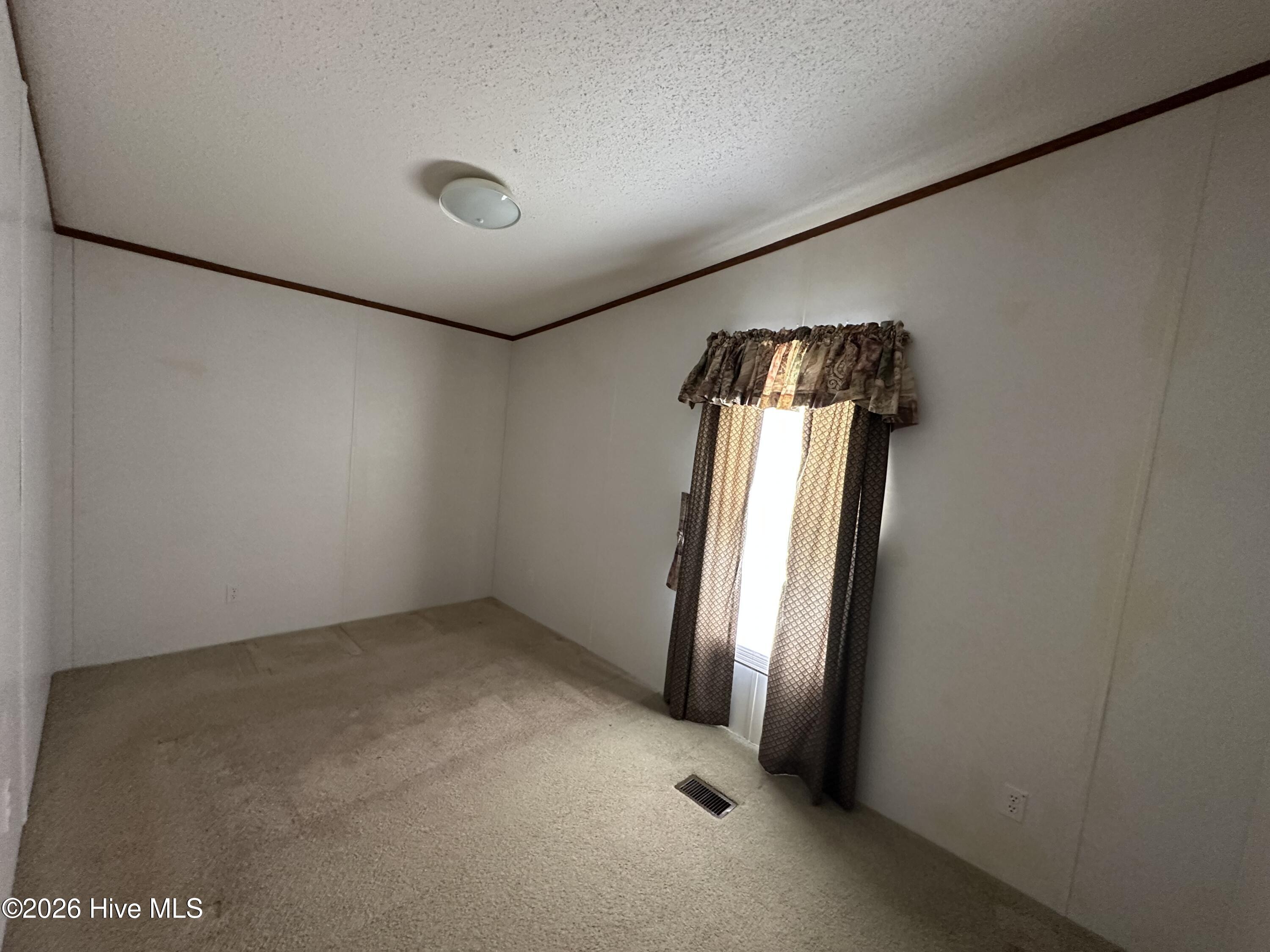 113 Carlyle Askew Drive Property Photo 21