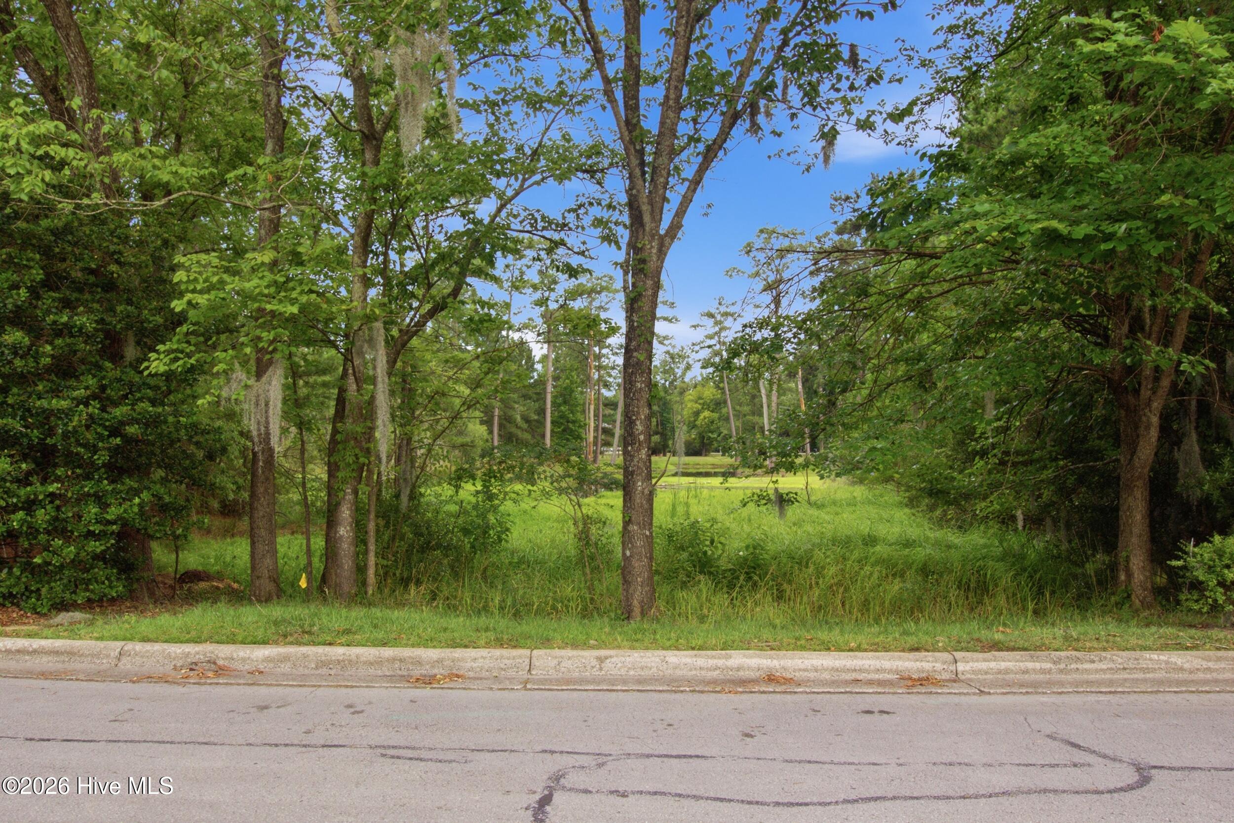 2409 Turtle Bay Drive Property Photo 8